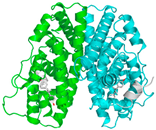 Pharmaceuticals 18 01288 i020