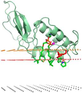 Pharmaceuticals 18 01288 i023