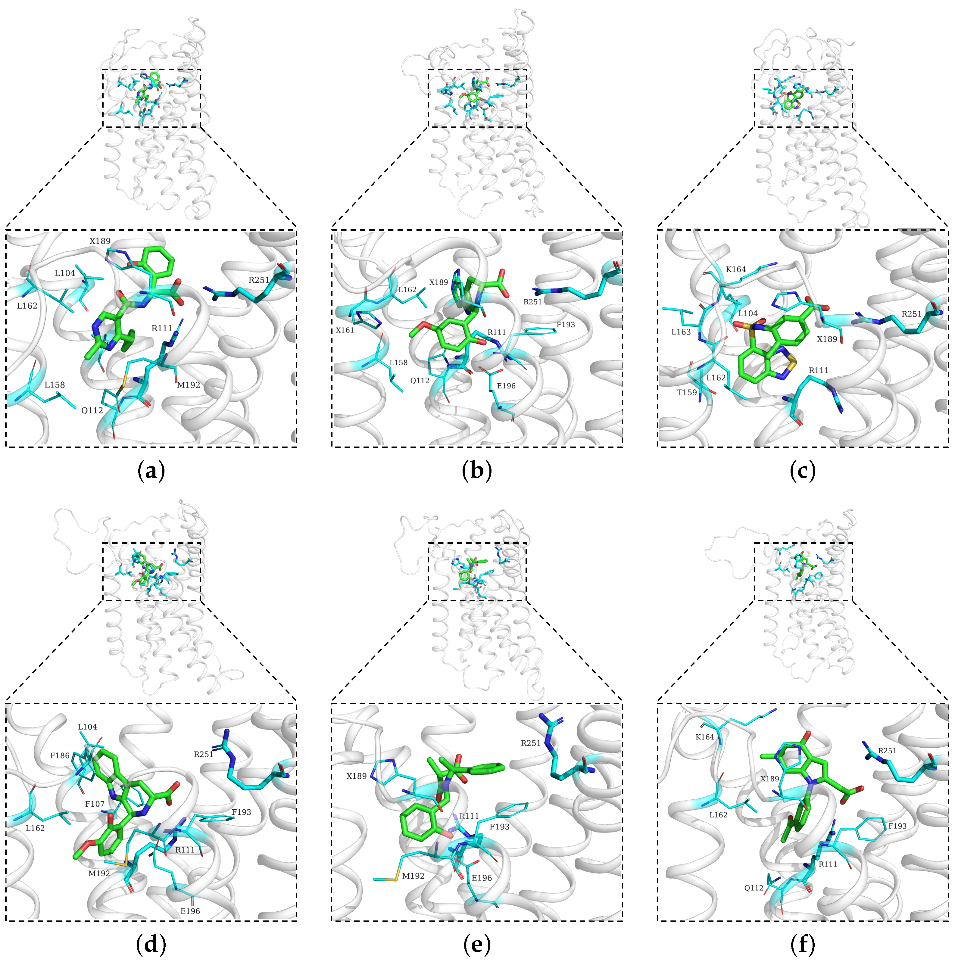 Pharmaceuticals 18 01290 g006 Pharmaceuticals 18 01290 g006