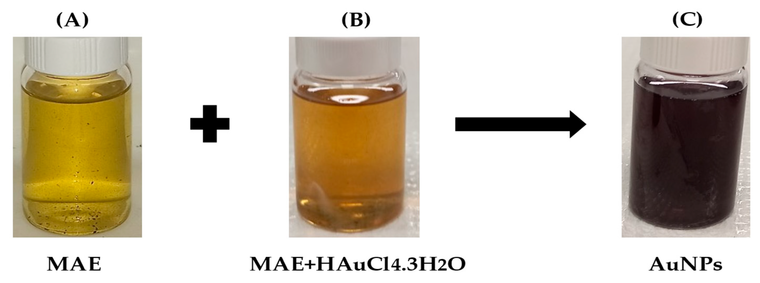 Pharmaceuticals 18 01294 g001 Pharmaceuticals 18 01294 g001