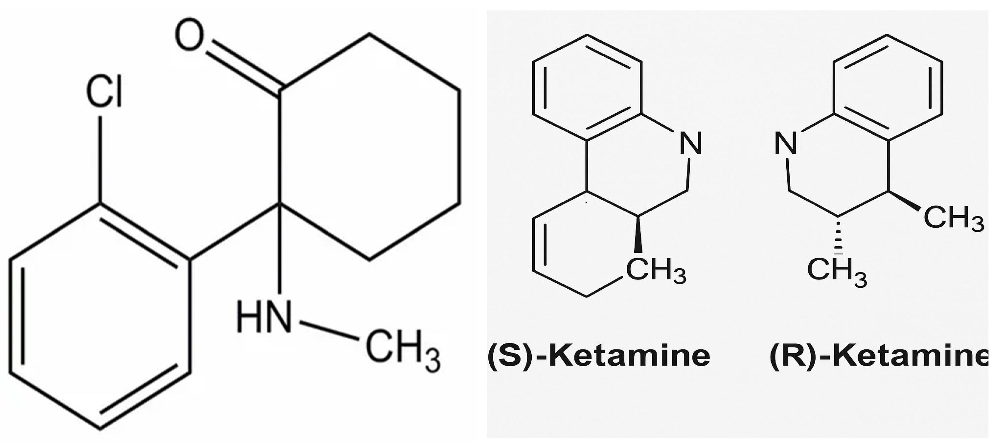 Pharmaceuticals 18 01298 g001