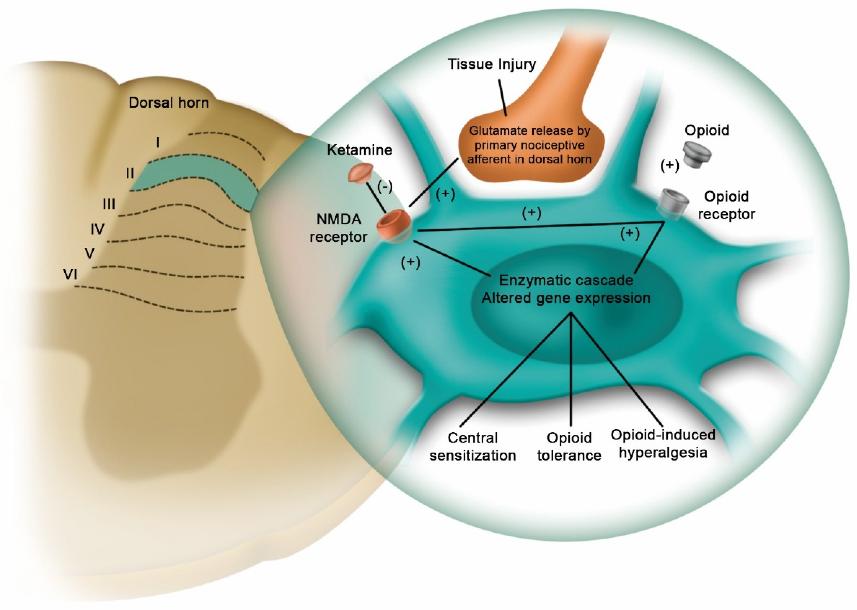 Pharmaceuticals 18 01298 g003