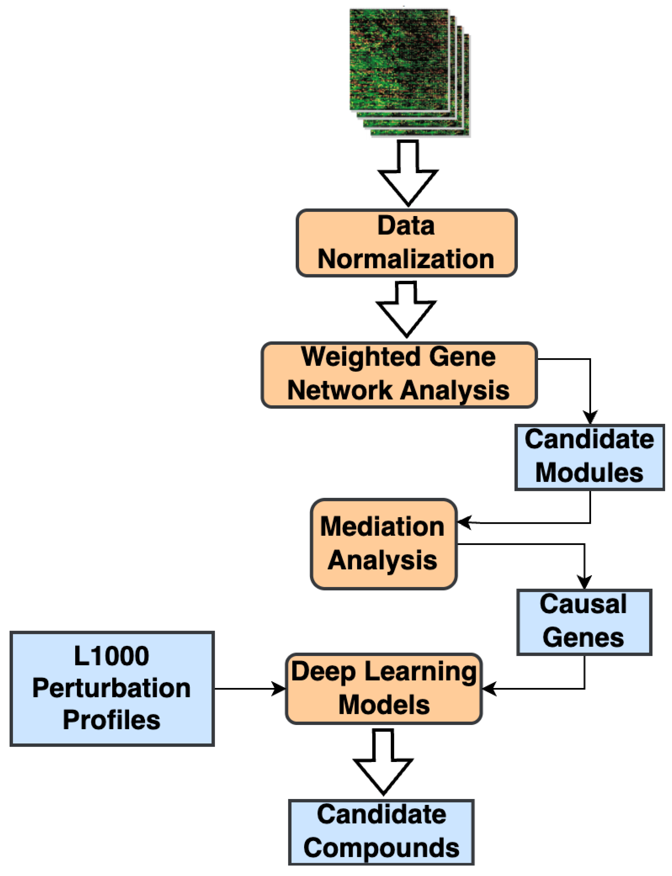 Pharmaceuticals 18 01304 g001 Pharmaceuticals 18 01304 g001