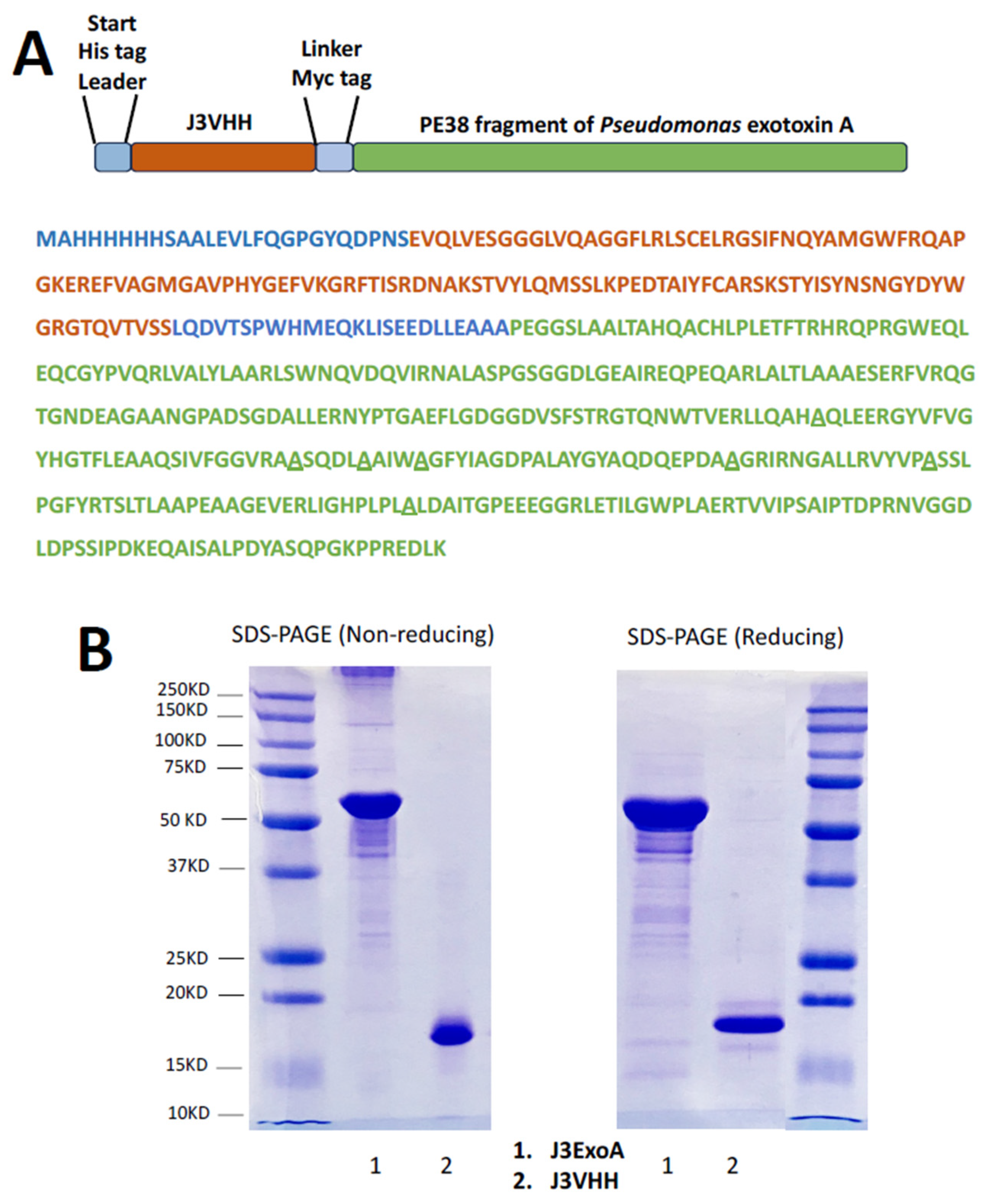 Pharmaceuticals 18 01305 g001 Pharmaceuticals 18 01305 g001