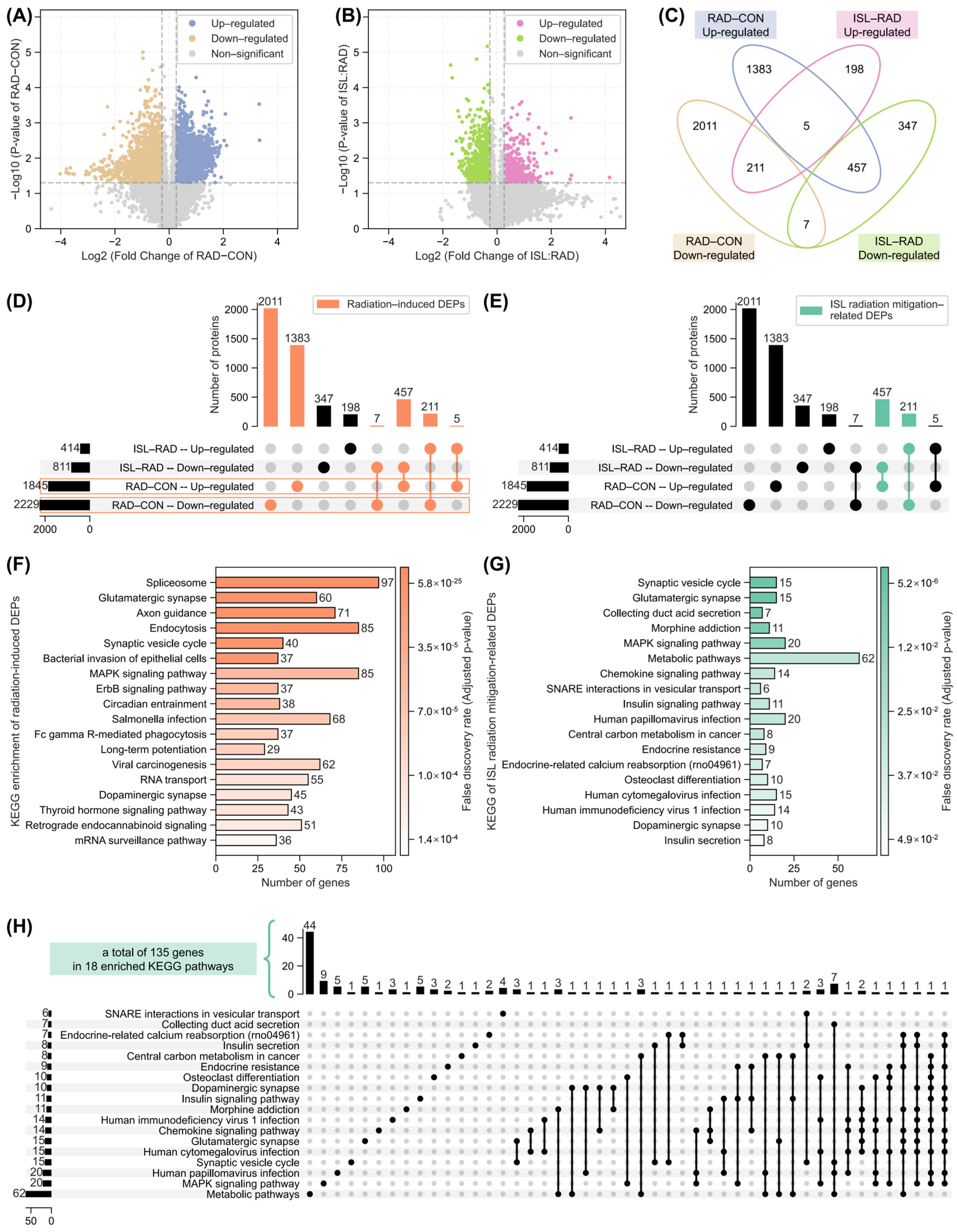 Pharmaceuticals 18 01307 g003