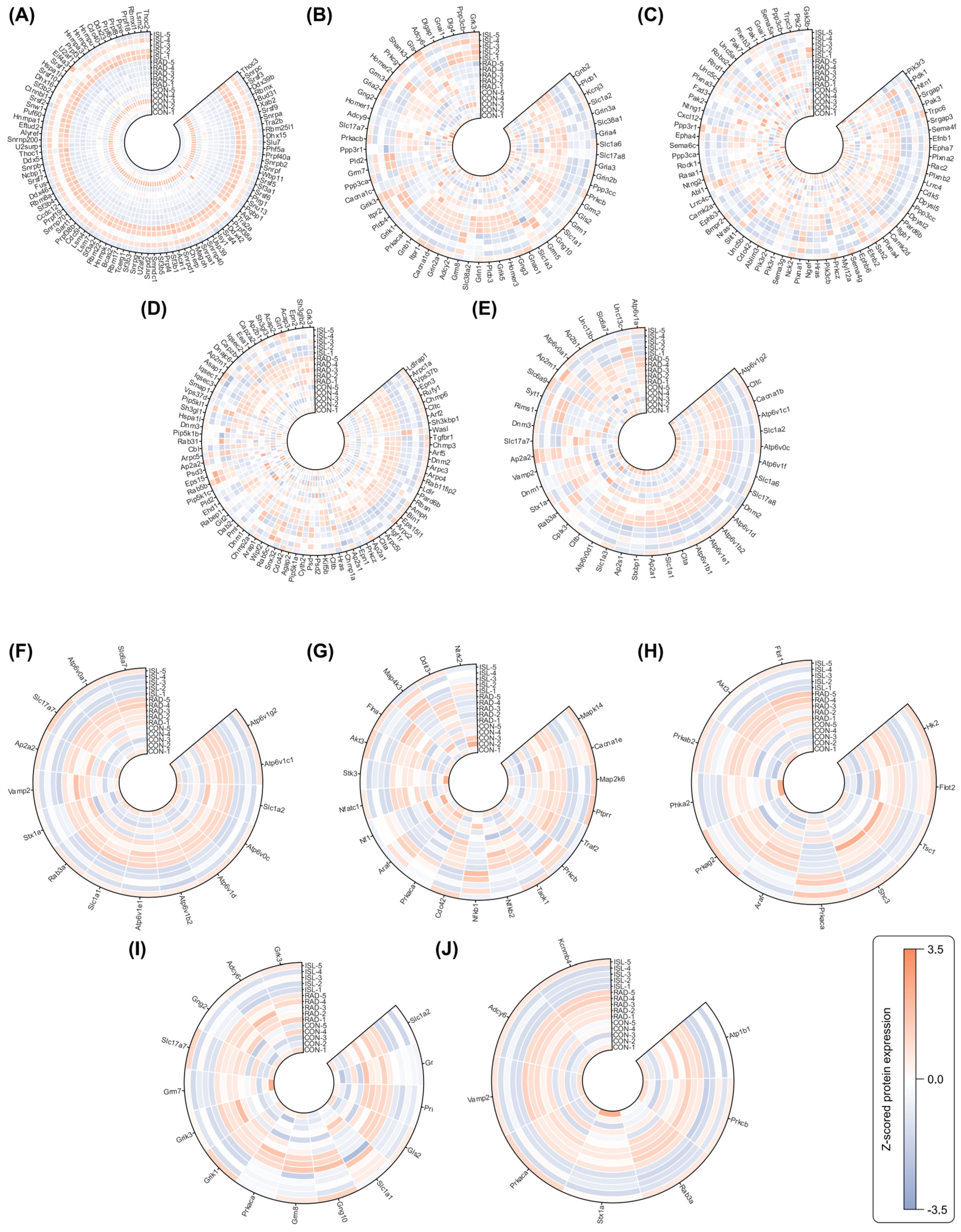 Pharmaceuticals 18 01307 g004