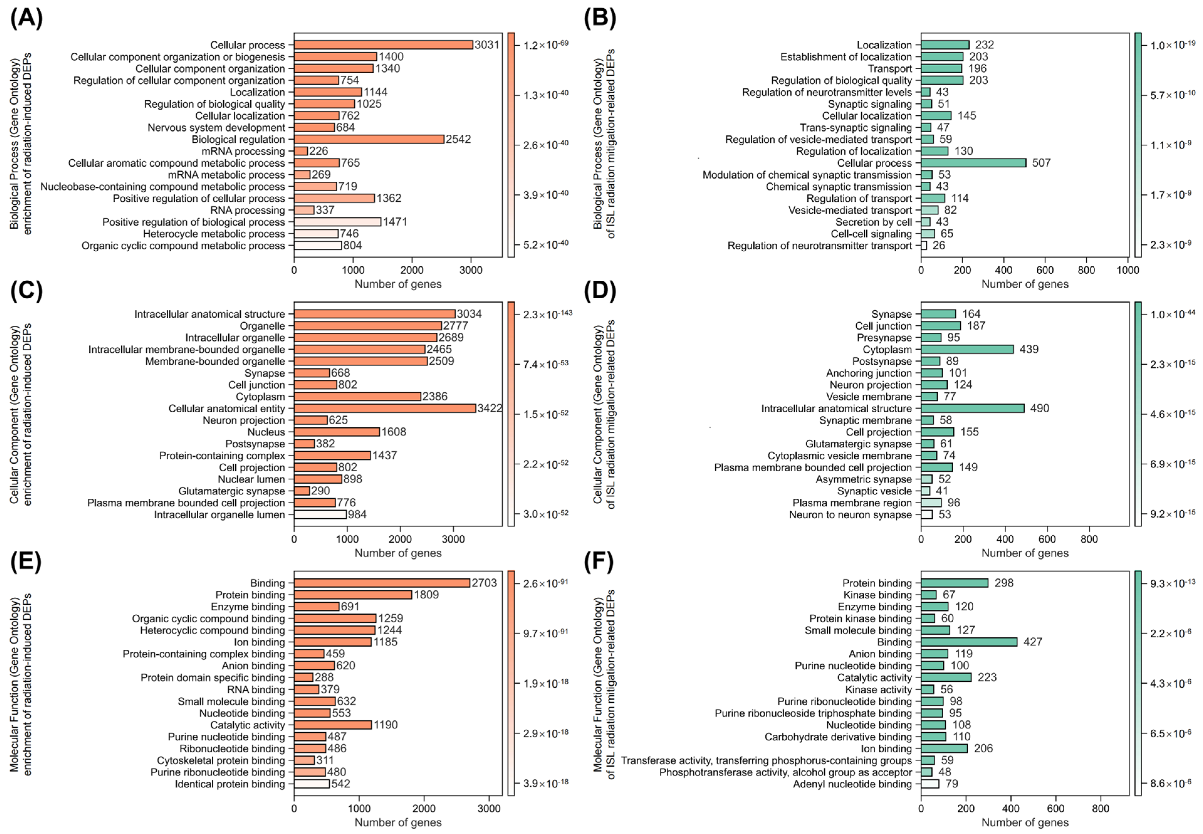 Pharmaceuticals 18 01307 g005