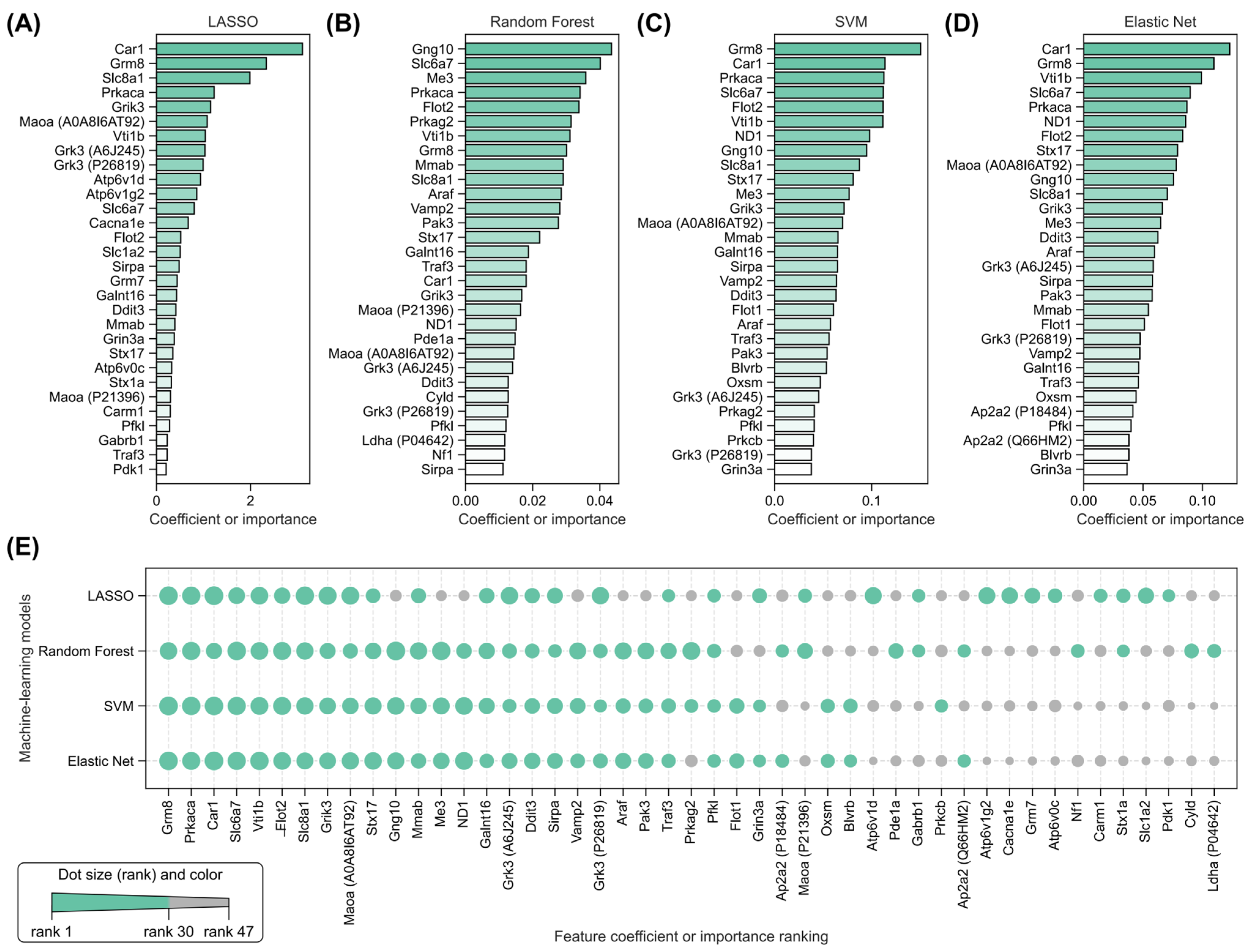 Pharmaceuticals 18 01307 g007