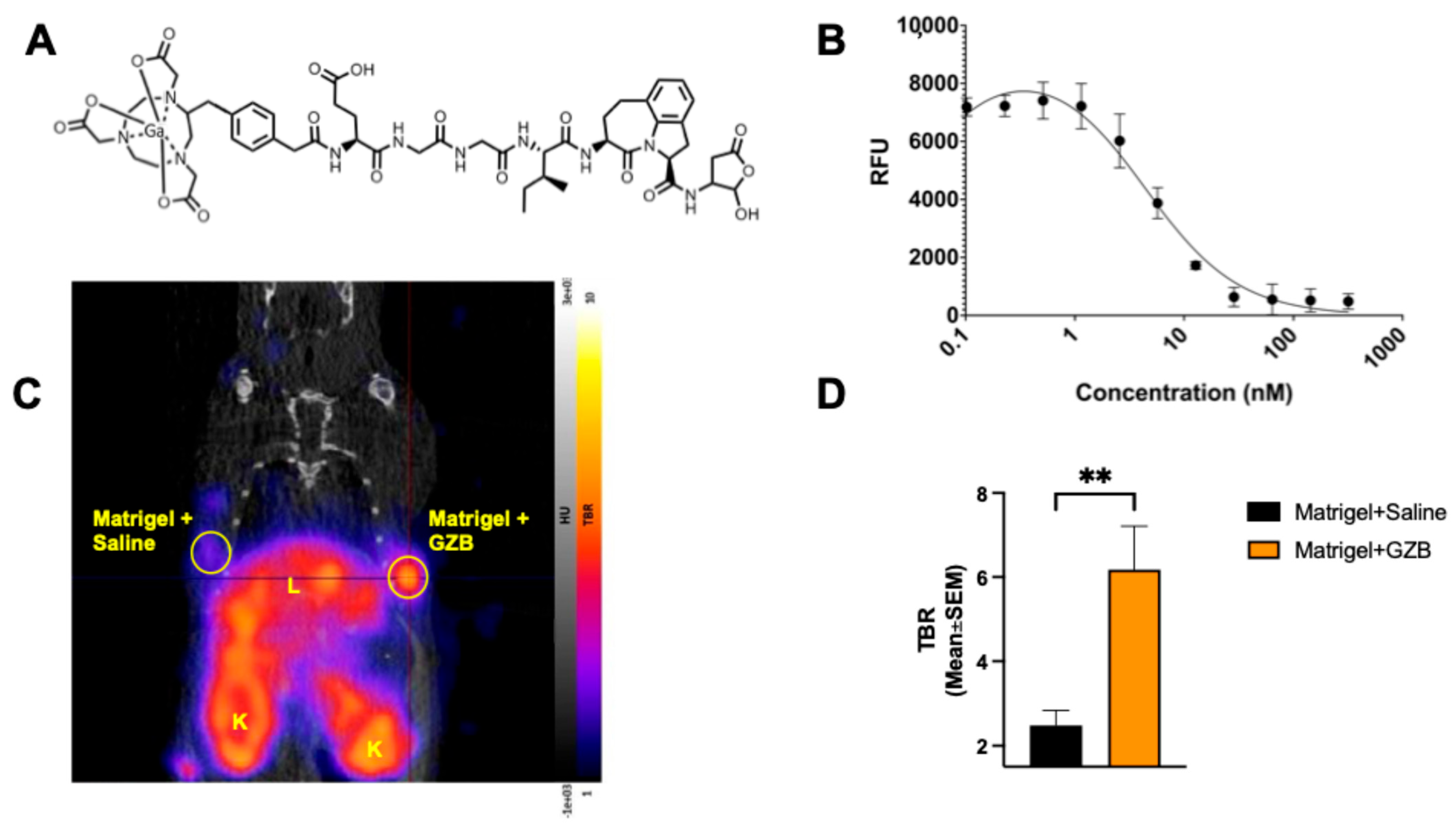 Pharmaceuticals 18 01309 g001