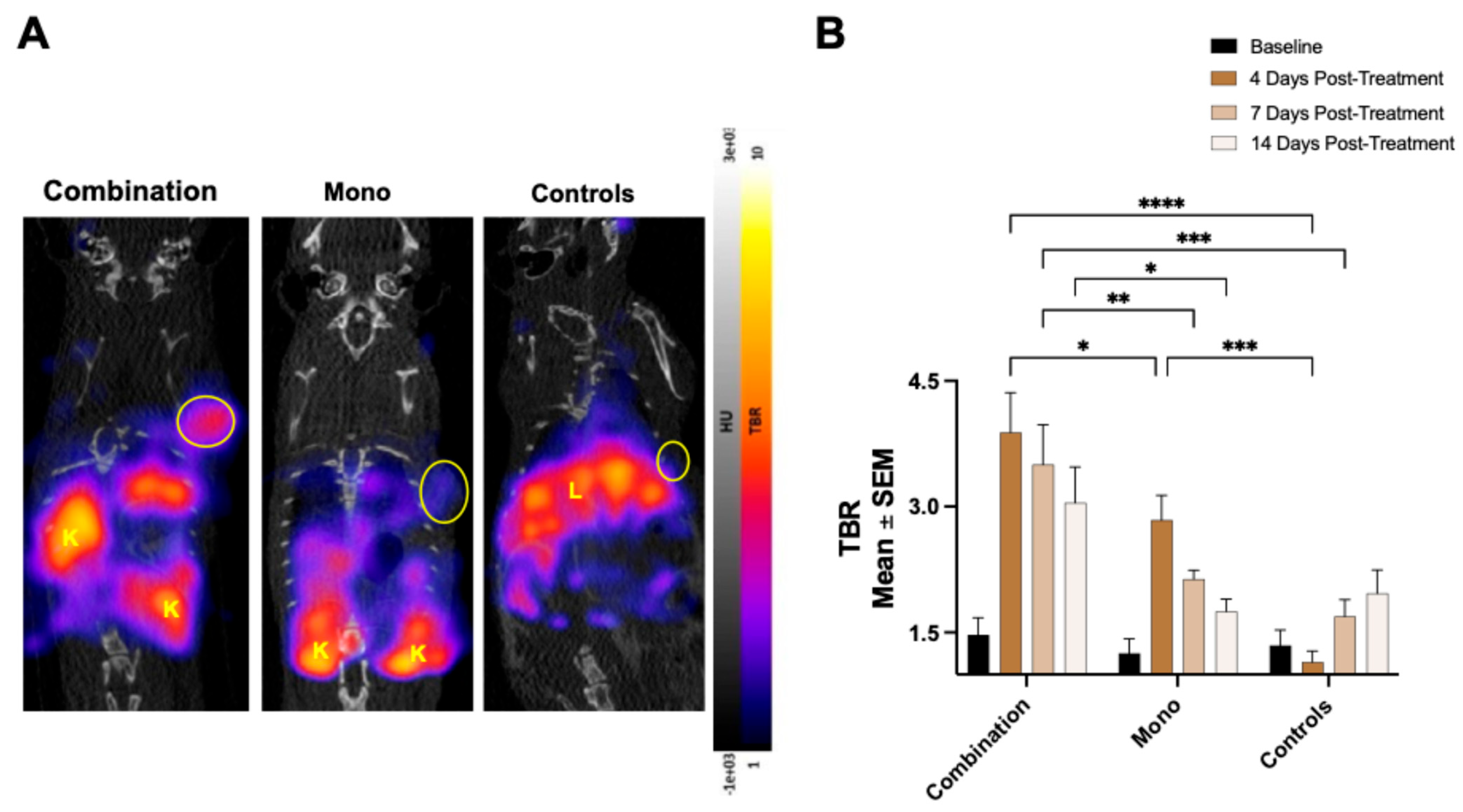 Pharmaceuticals 18 01309 g002