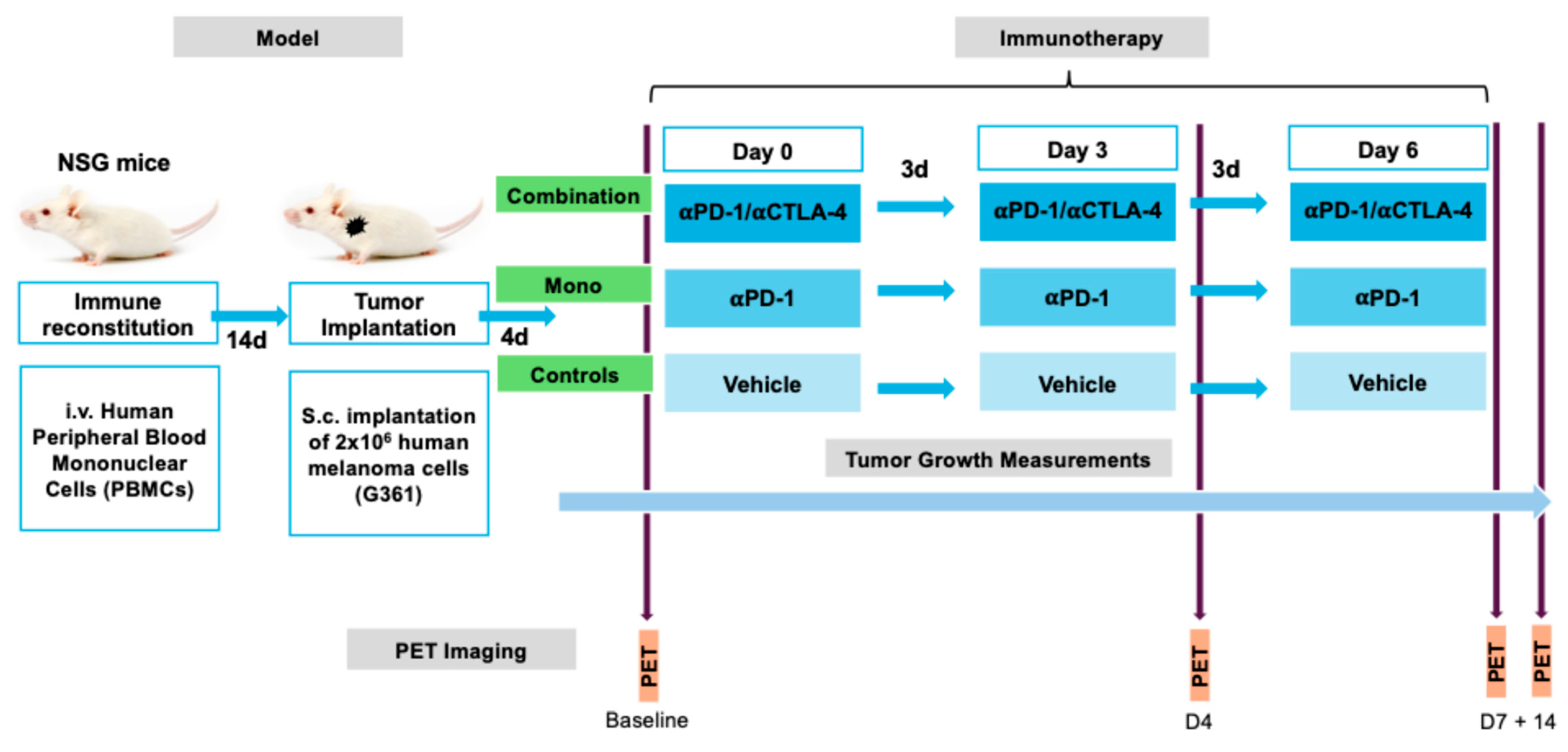 Pharmaceuticals 18 01309 g007