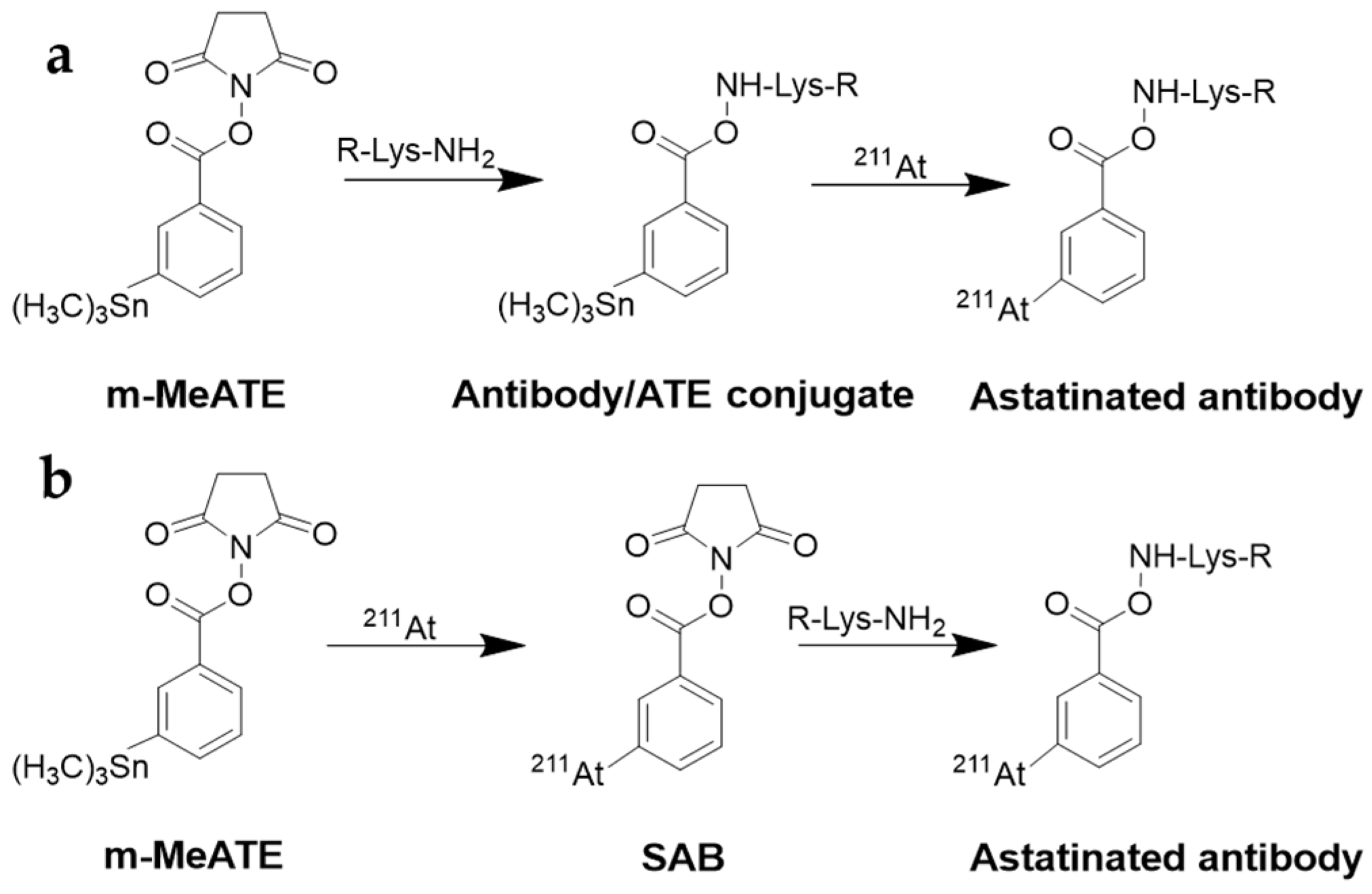 Pharmaceuticals 18 01316 g006