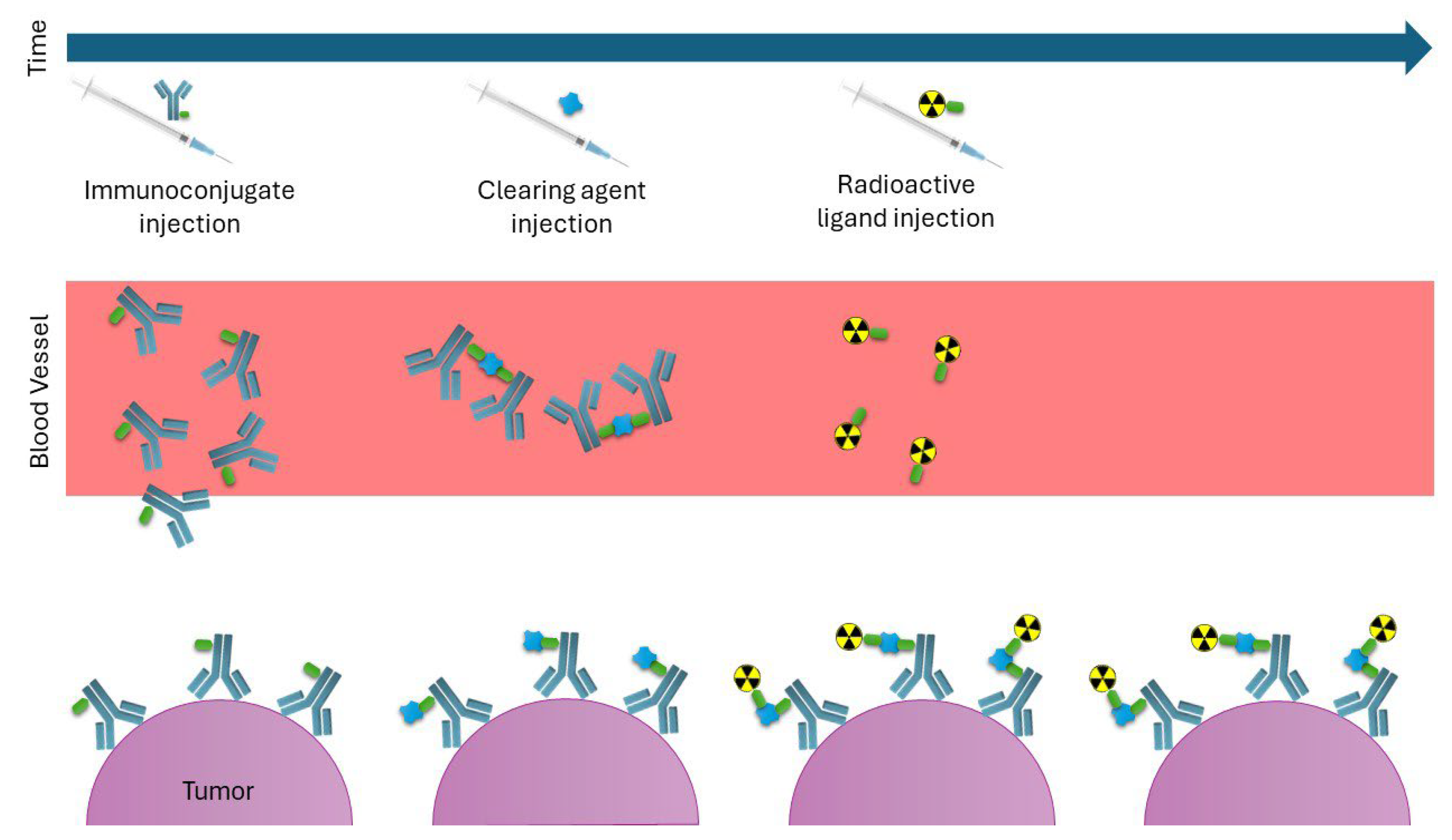Pharmaceuticals 18 01316 g008