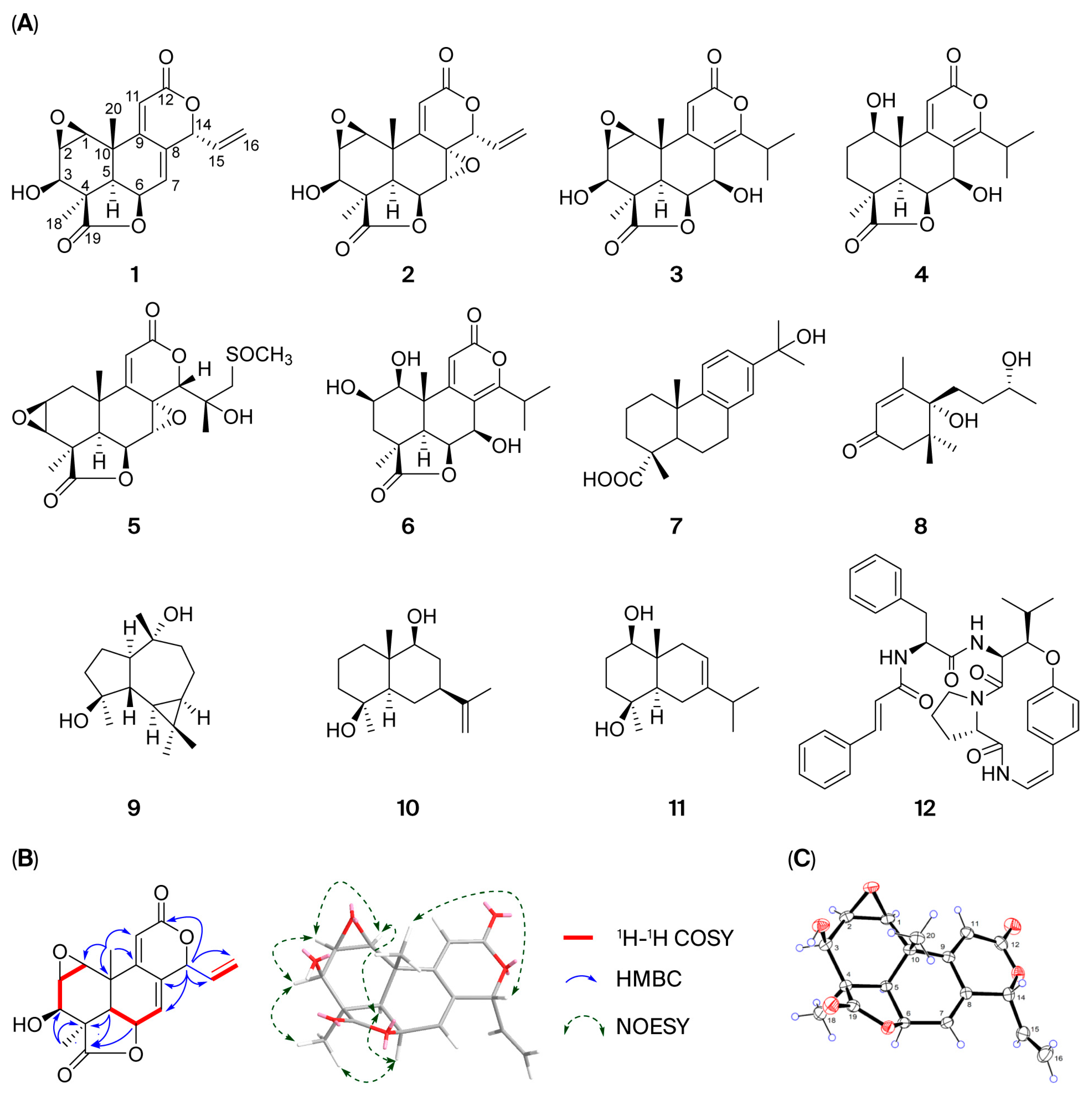 Pharmaceuticals 18 01319 g002