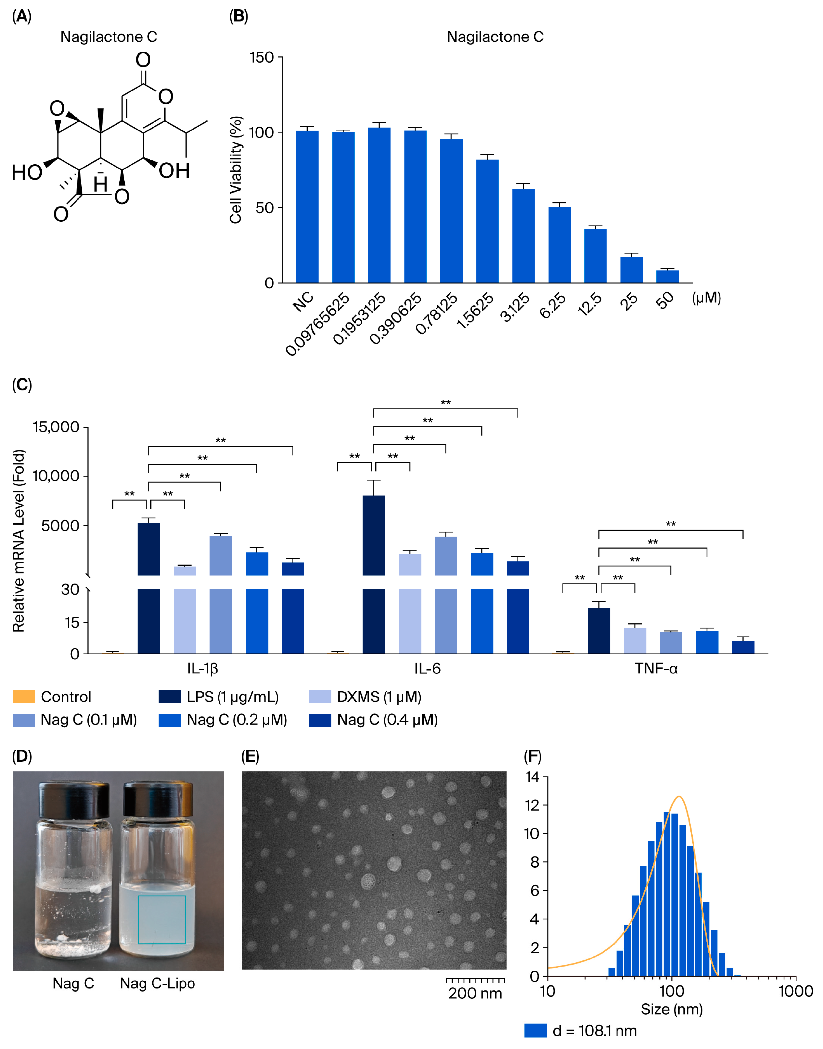 Pharmaceuticals 18 01319 g003