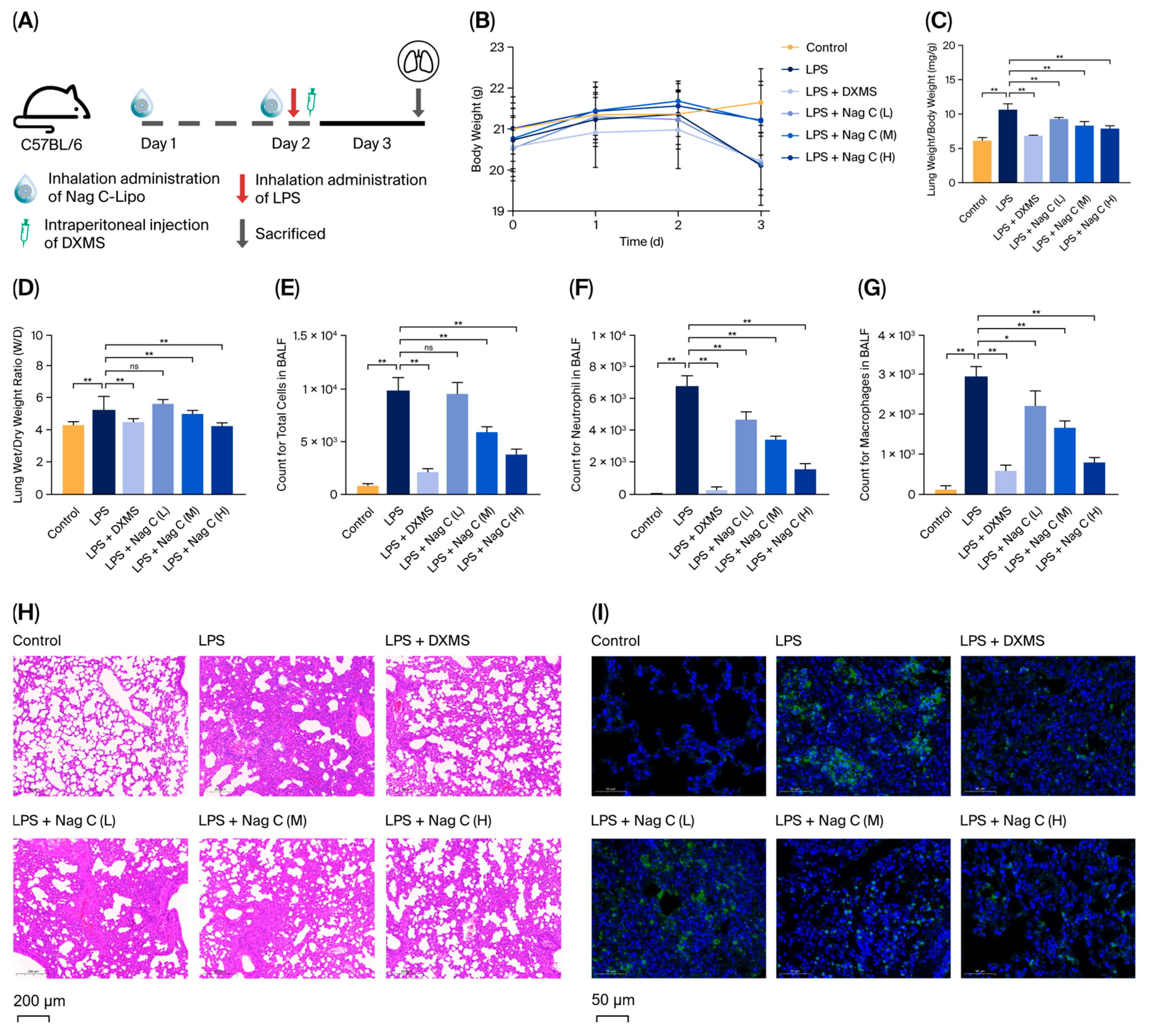 Pharmaceuticals 18 01319 g004