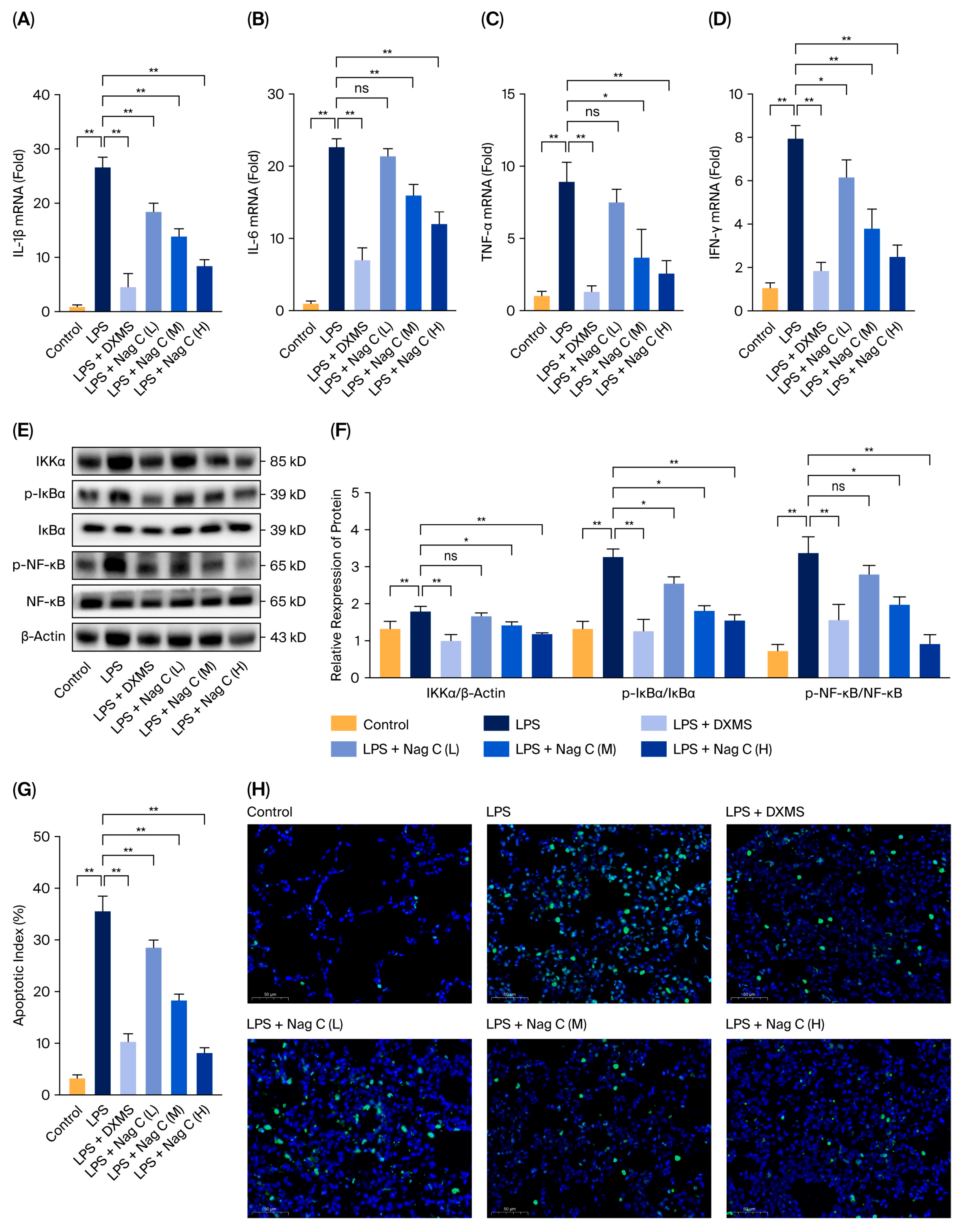 Pharmaceuticals 18 01319 g005