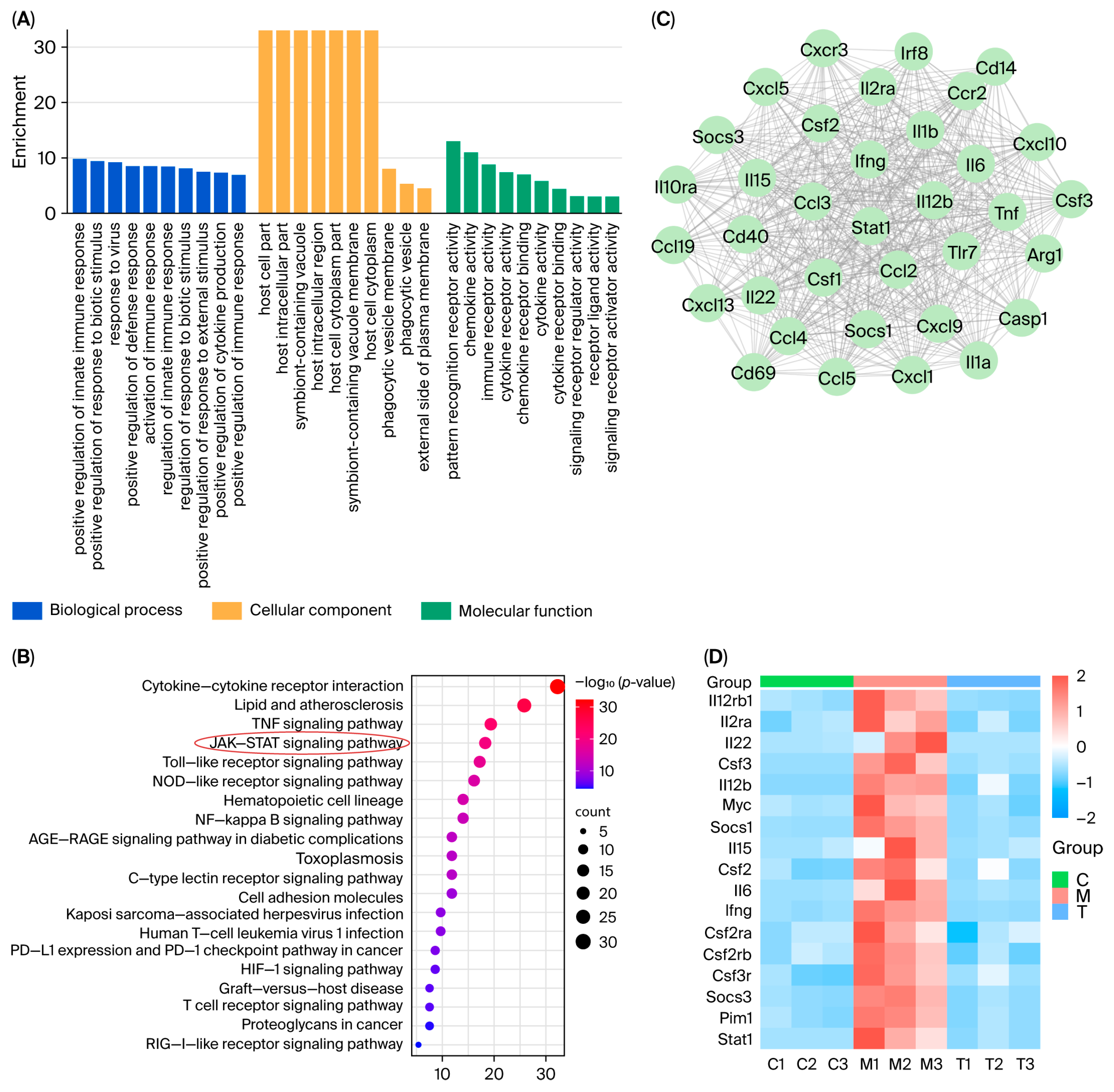 Pharmaceuticals 18 01319 g007