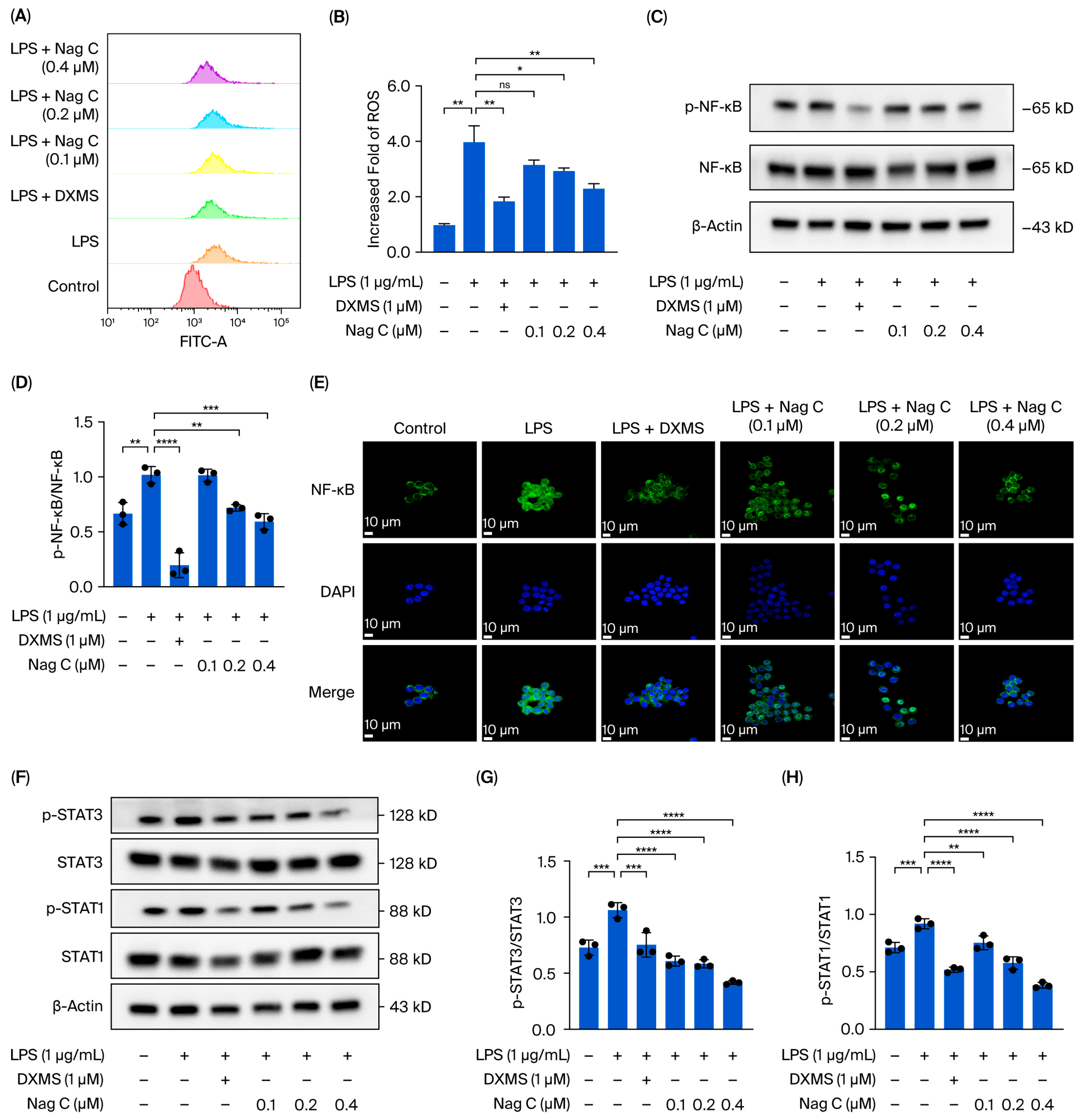 Pharmaceuticals 18 01319 g008