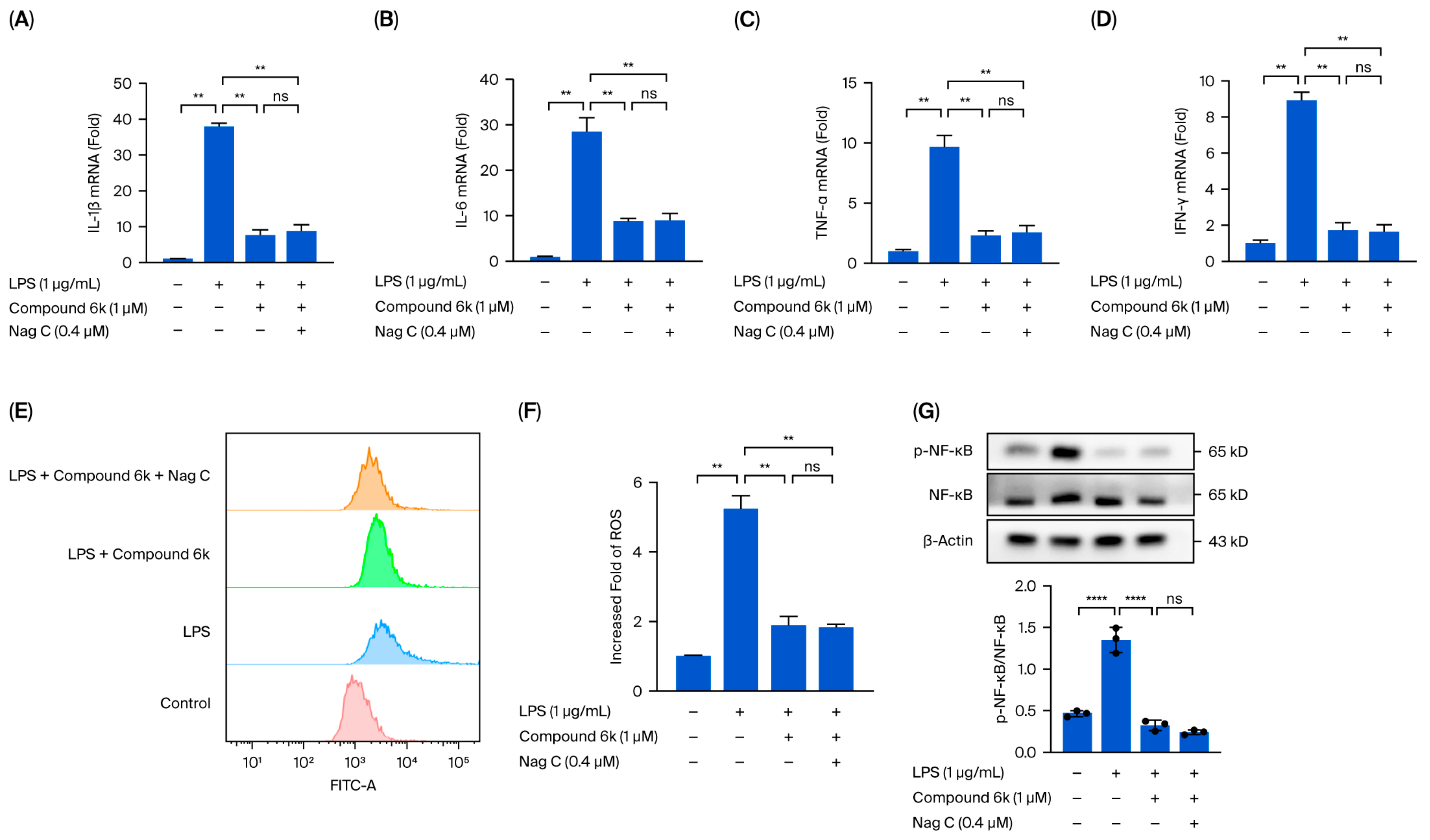 Pharmaceuticals 18 01319 g009