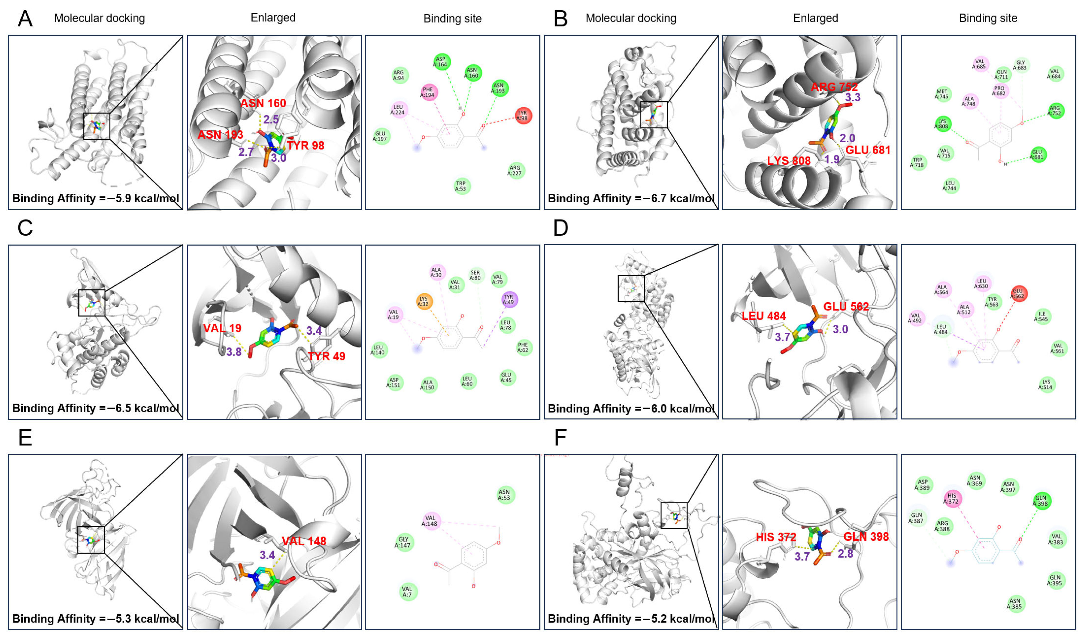 Pharmaceuticals 18 01322 g004a