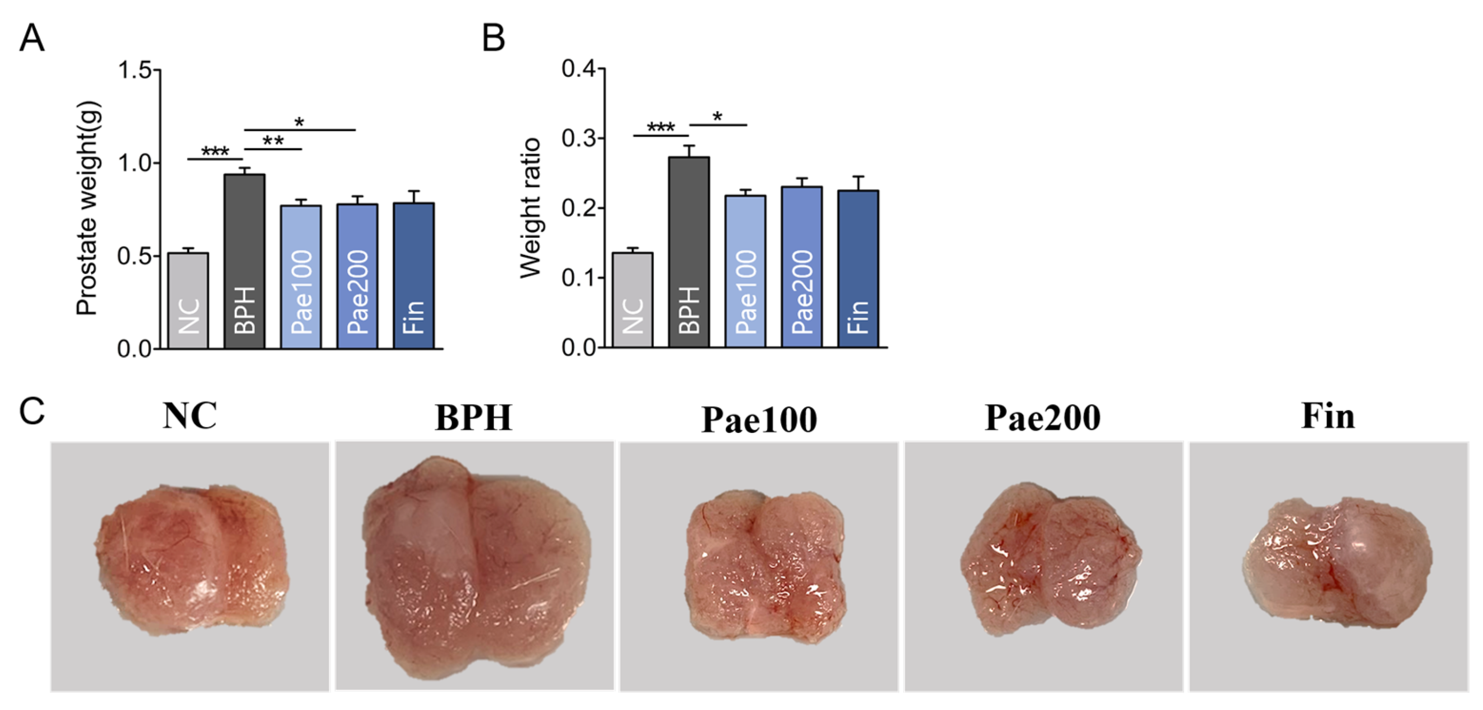 Pharmaceuticals 18 01322 g005