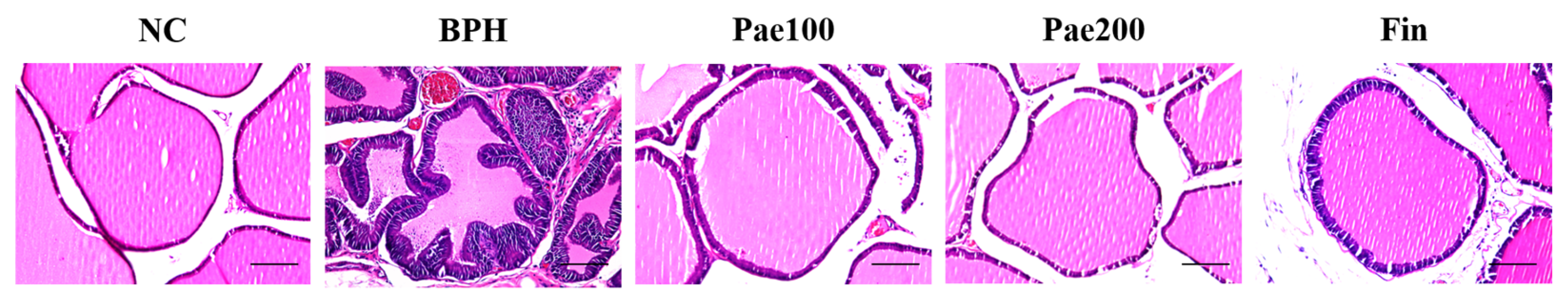 Pharmaceuticals 18 01322 g006