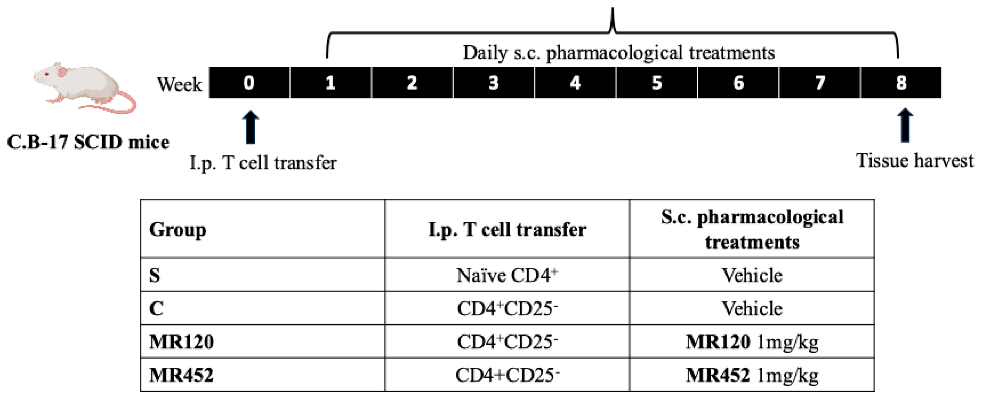 Pharmaceuticals 18 01327 g008