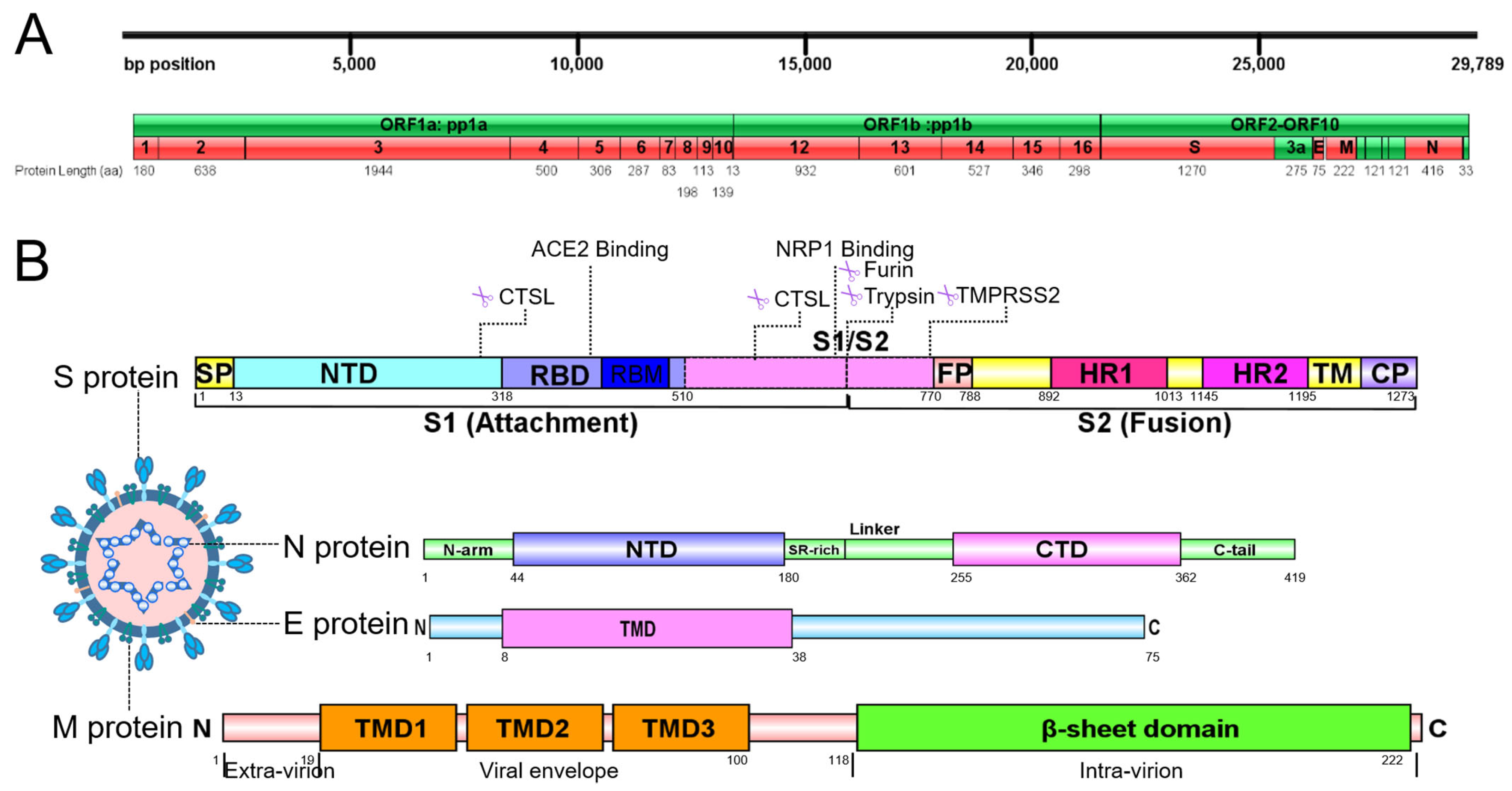 Pharmaceuticals 18 01329 g002