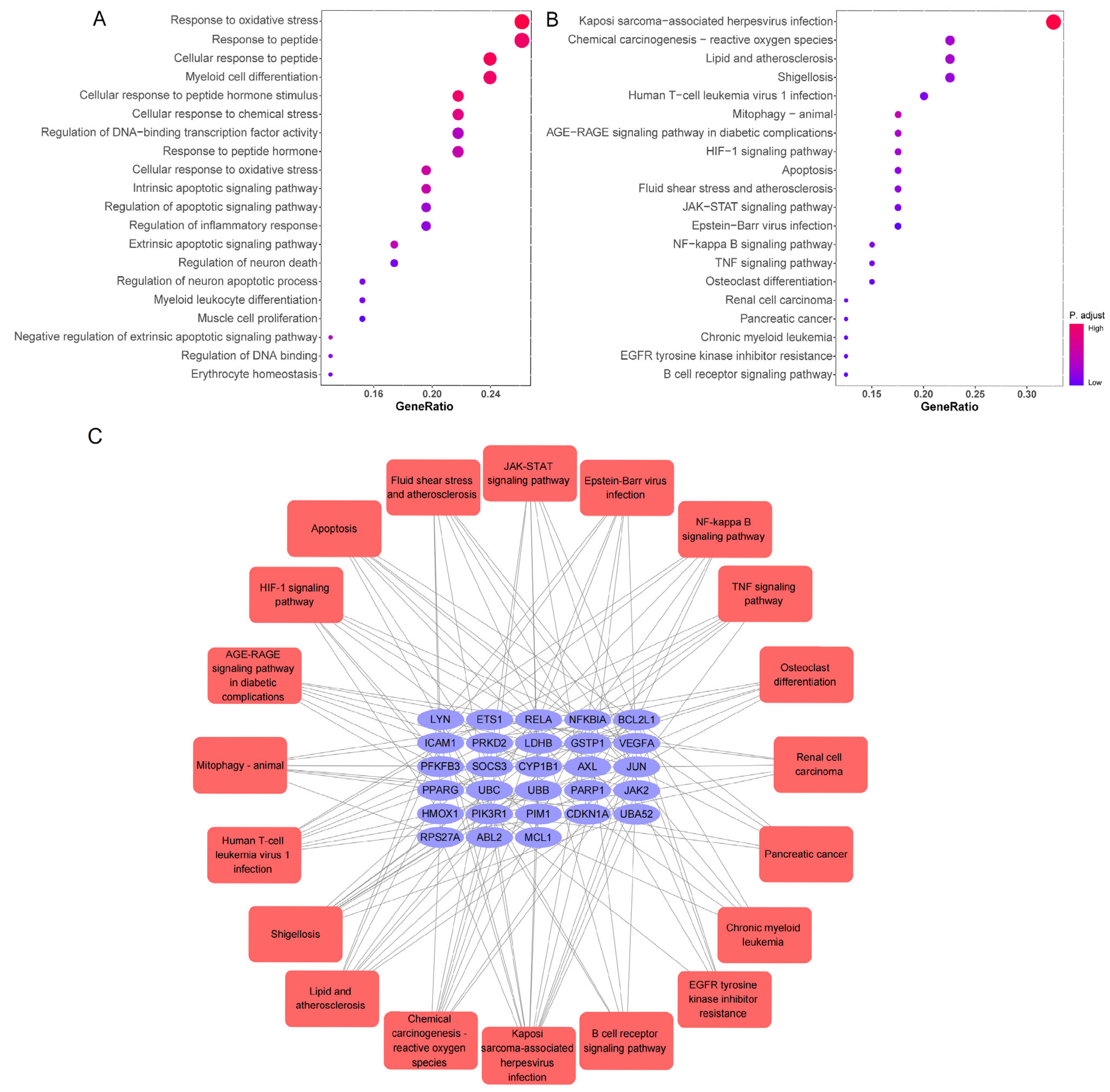 Pharmaceuticals 18 01329 g005