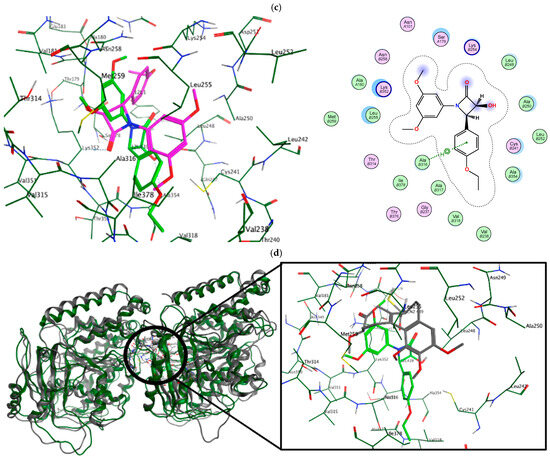 Synthesis, Computational Studies, and Structural Analysis of 1-(3