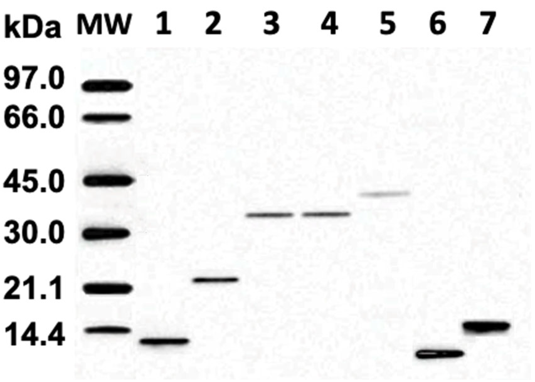 Pharmaceuticals 18 01334 g002