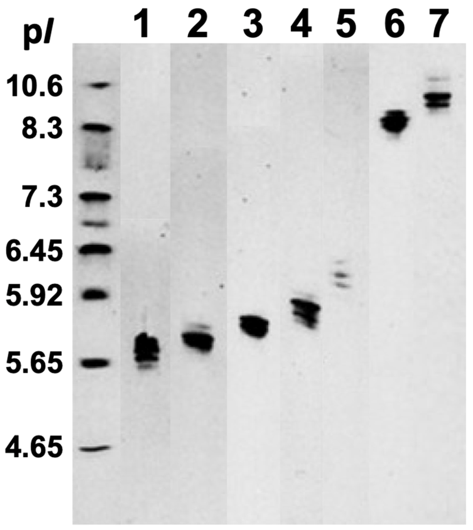 Pharmaceuticals 18 01334 g003