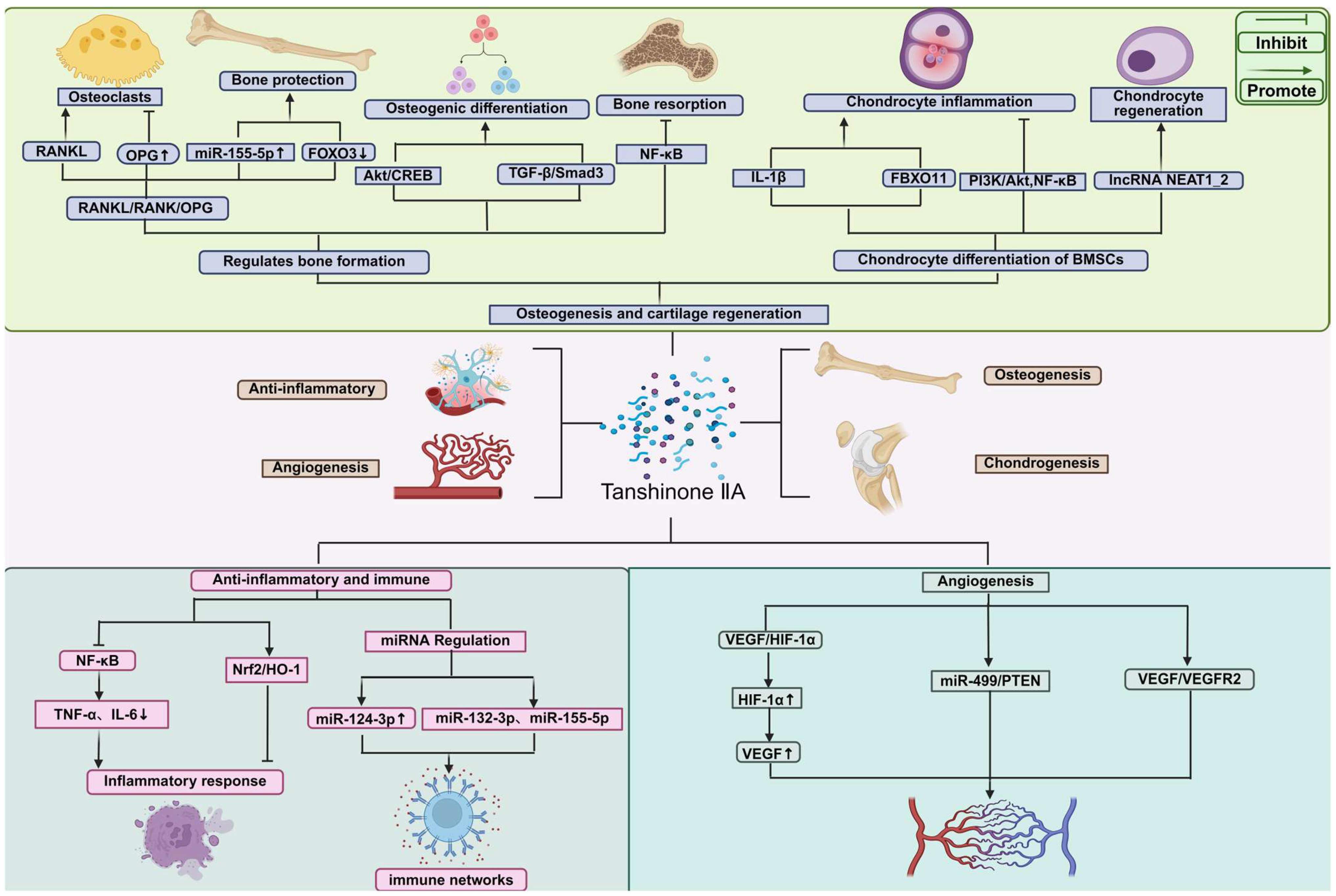 Pharmaceuticals 18 01338 g002 Pharmaceuticals 18 01338 g002