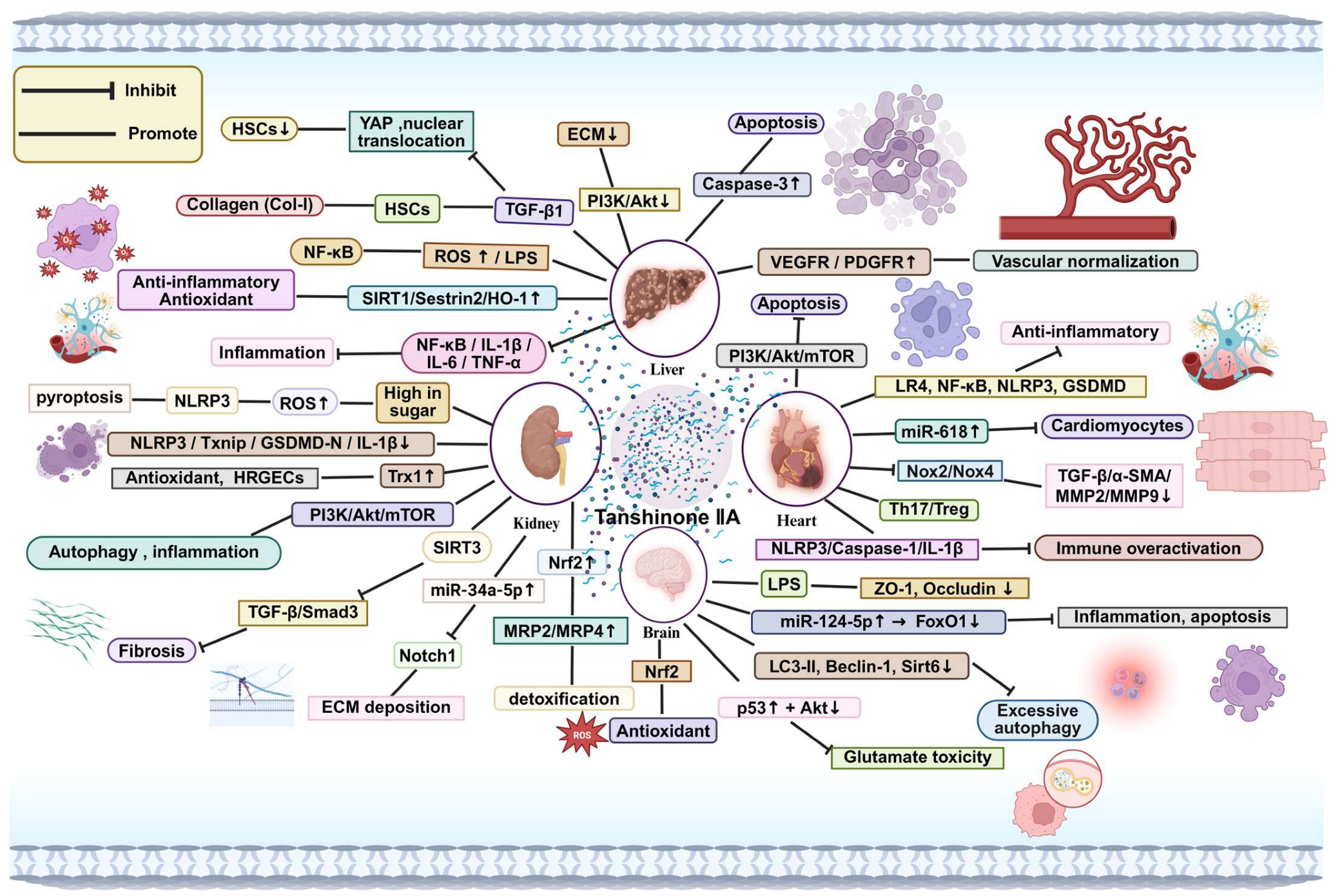 Pharmaceuticals 18 01338 g003 Pharmaceuticals 18 01338 g003