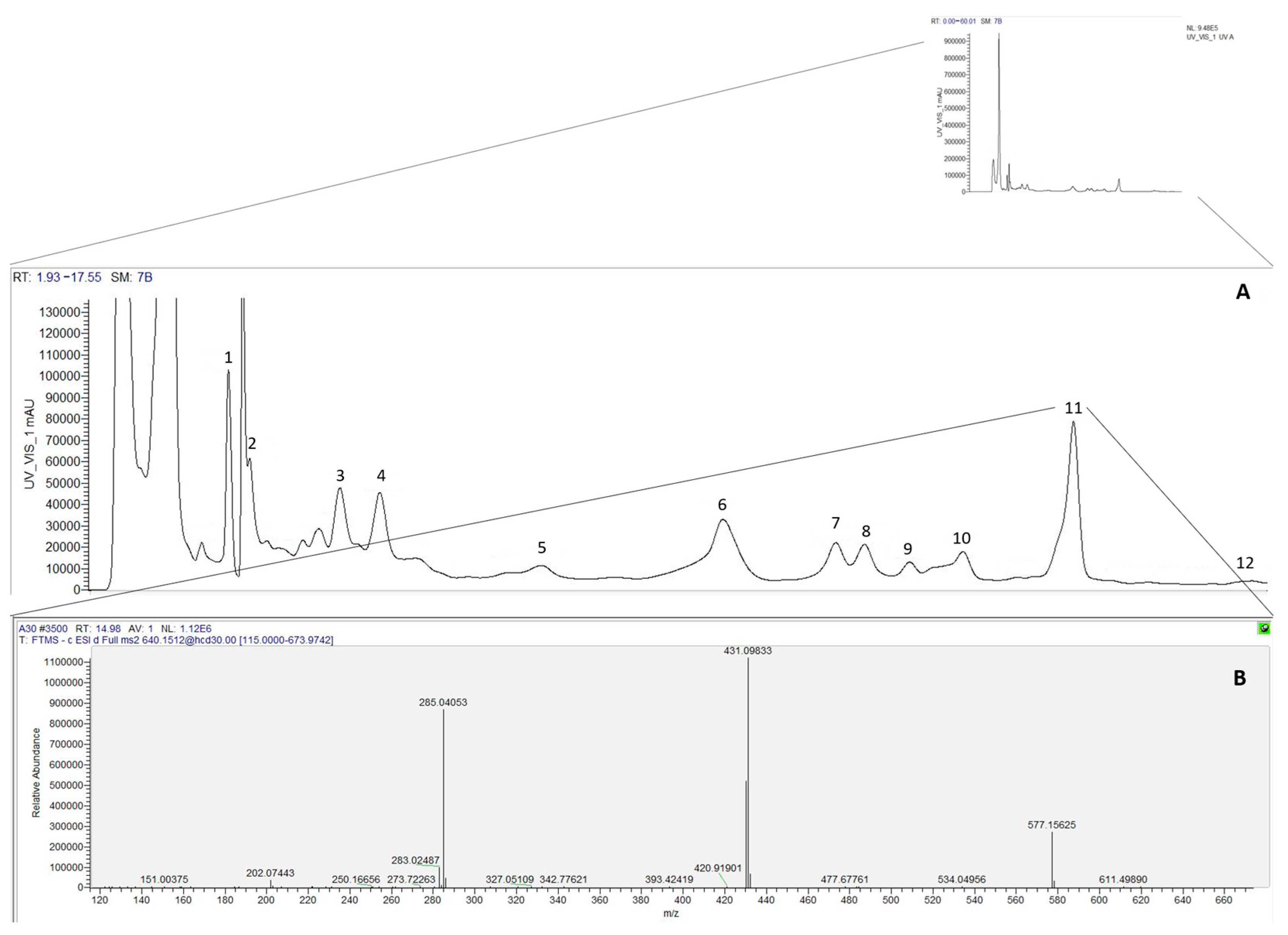 Pharmaceuticals 18 01342 g002