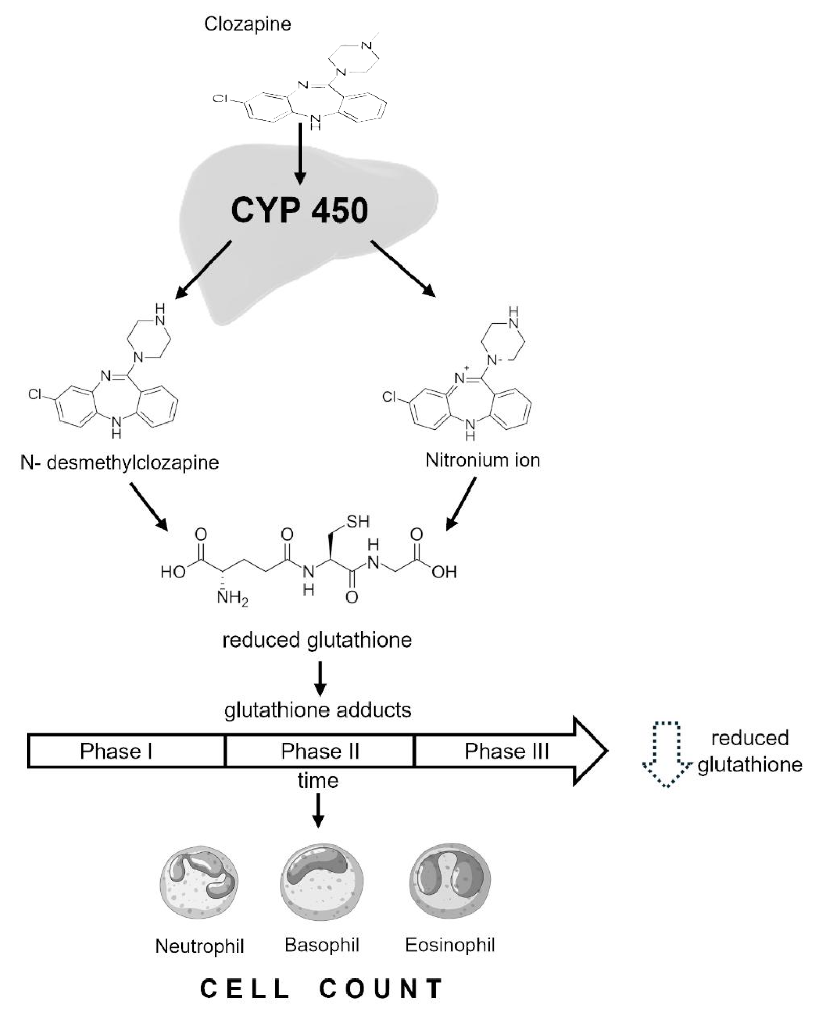Pharmaceuticals 18 01345 sch001