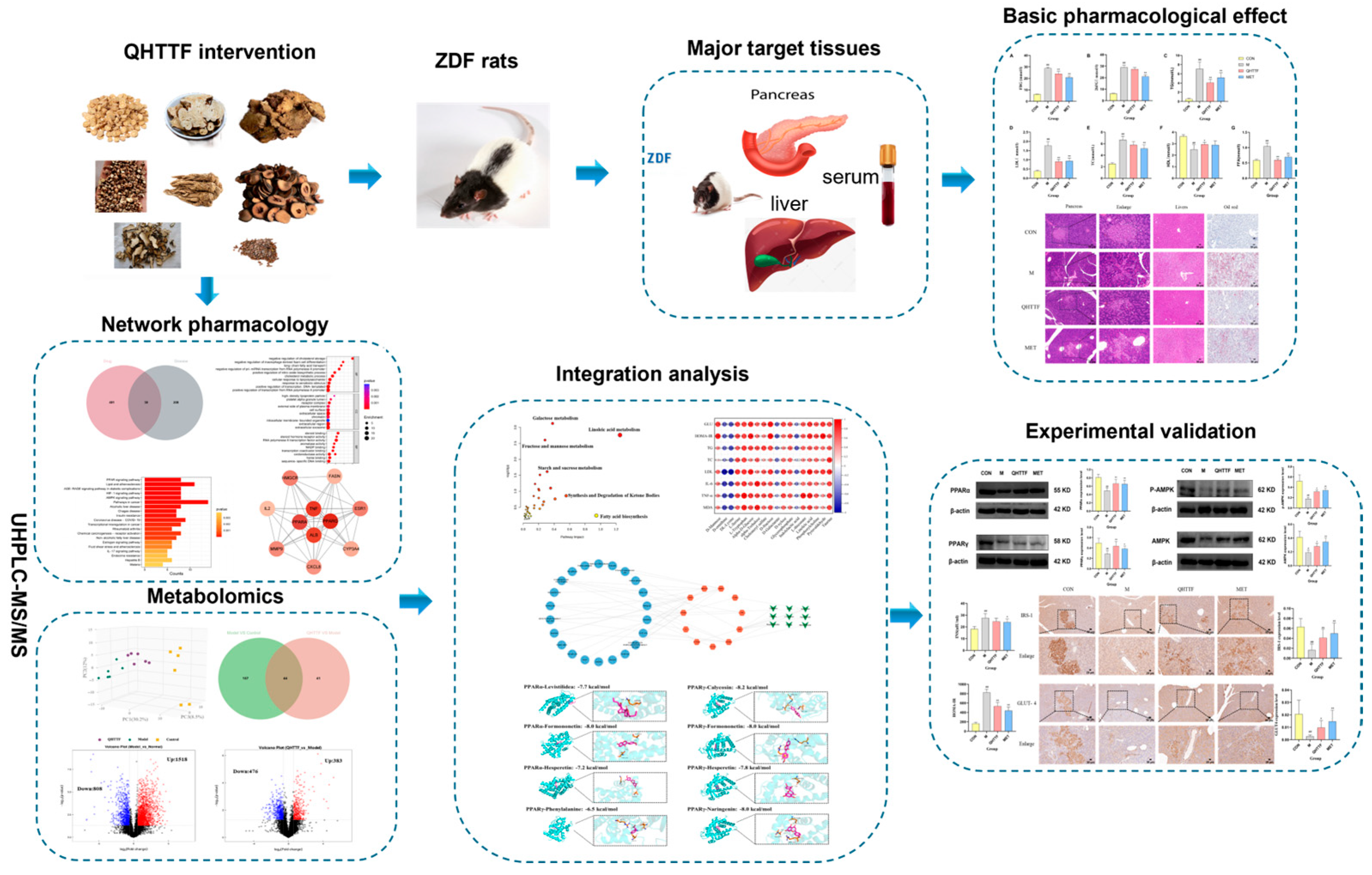 Pharmaceuticals 18 01347 g001