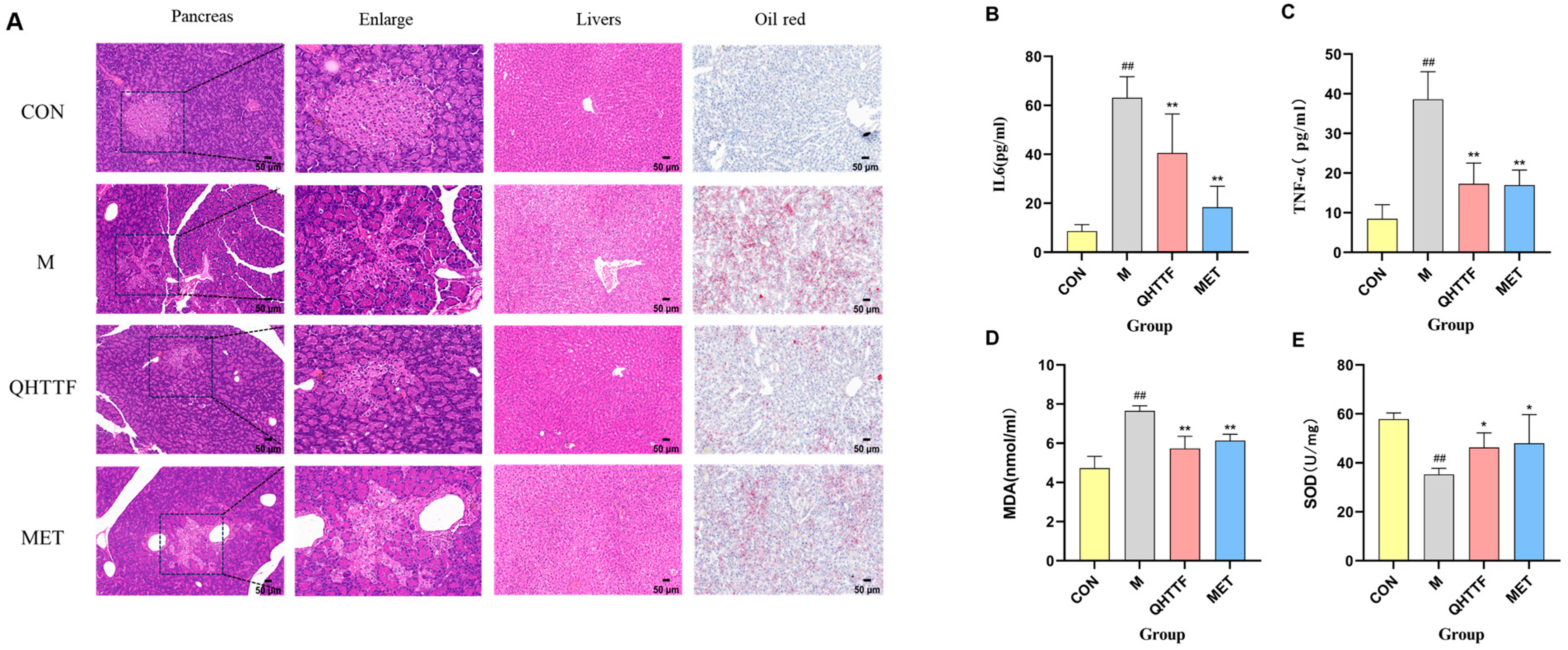 Pharmaceuticals 18 01347 g005