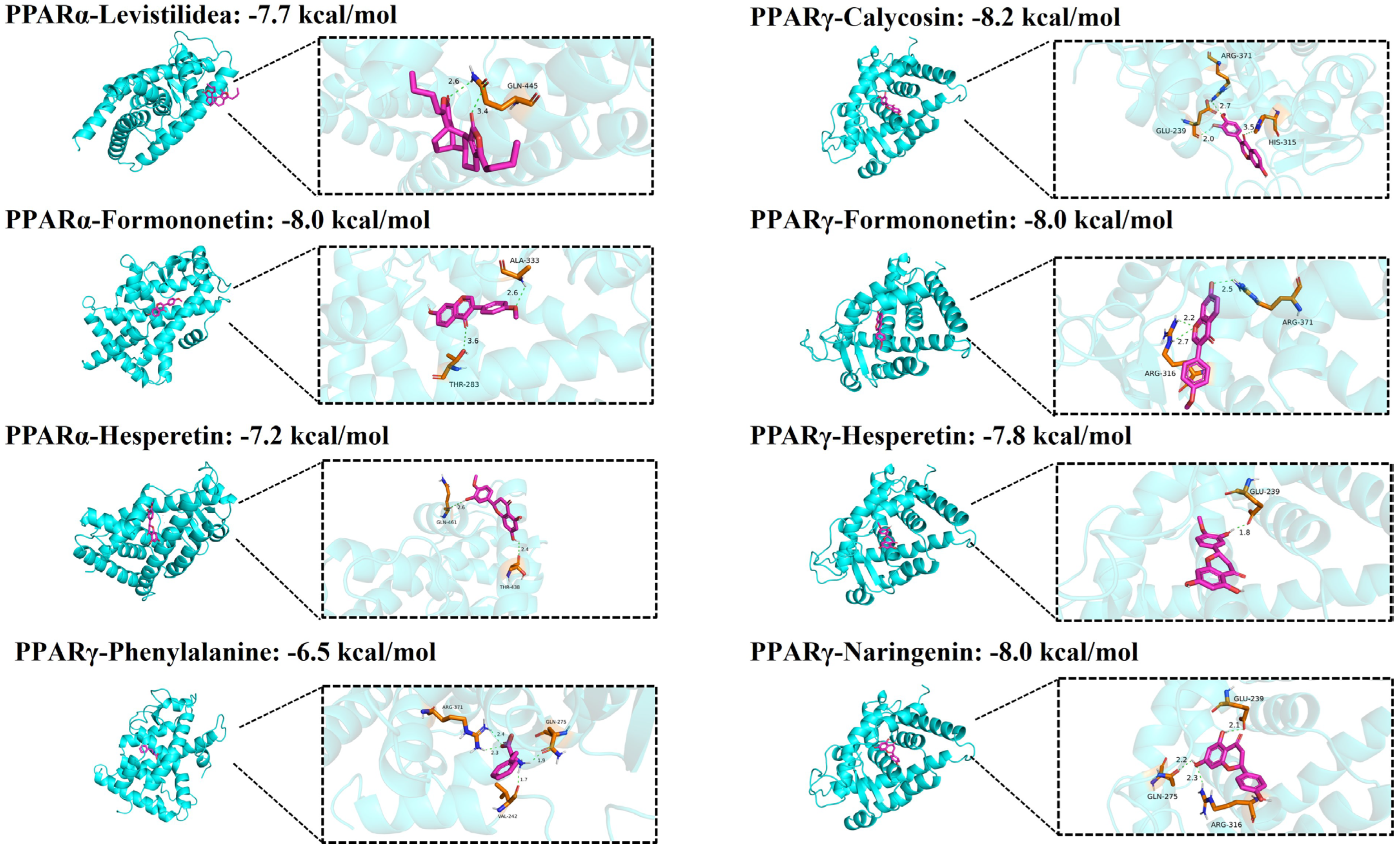 Pharmaceuticals 18 01347 g007