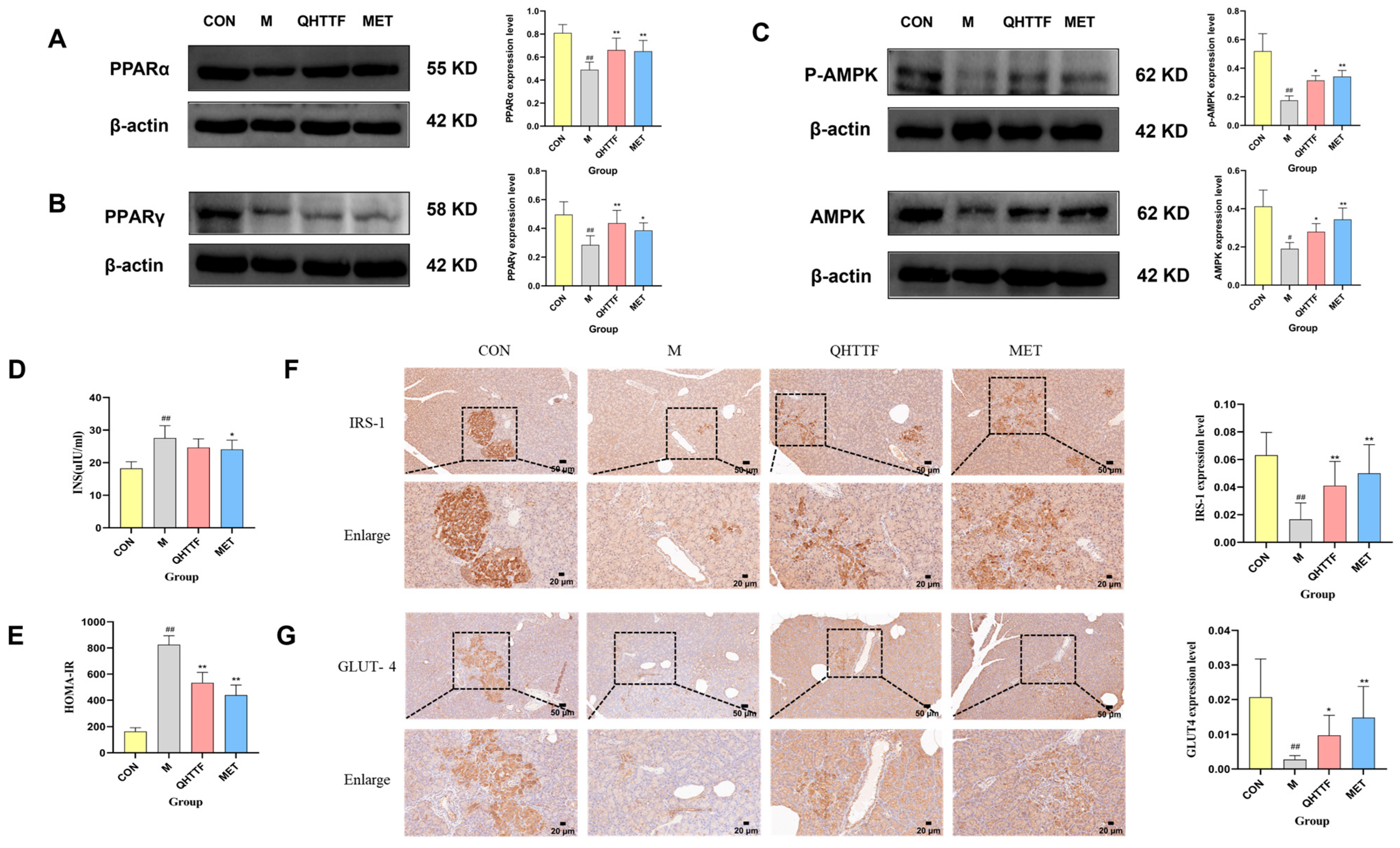 Pharmaceuticals 18 01347 g009