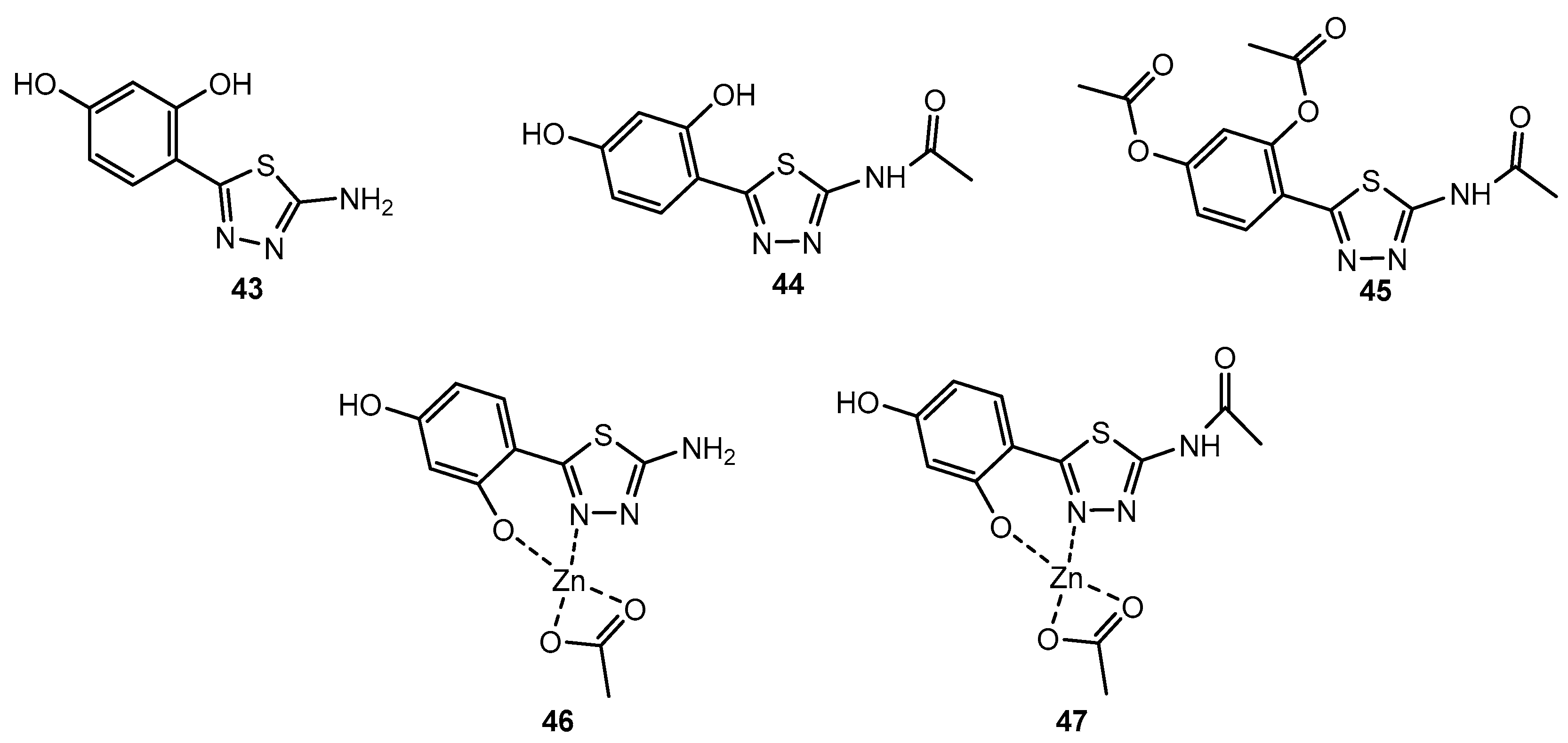 Pharmaceuticals 18 01348 g040