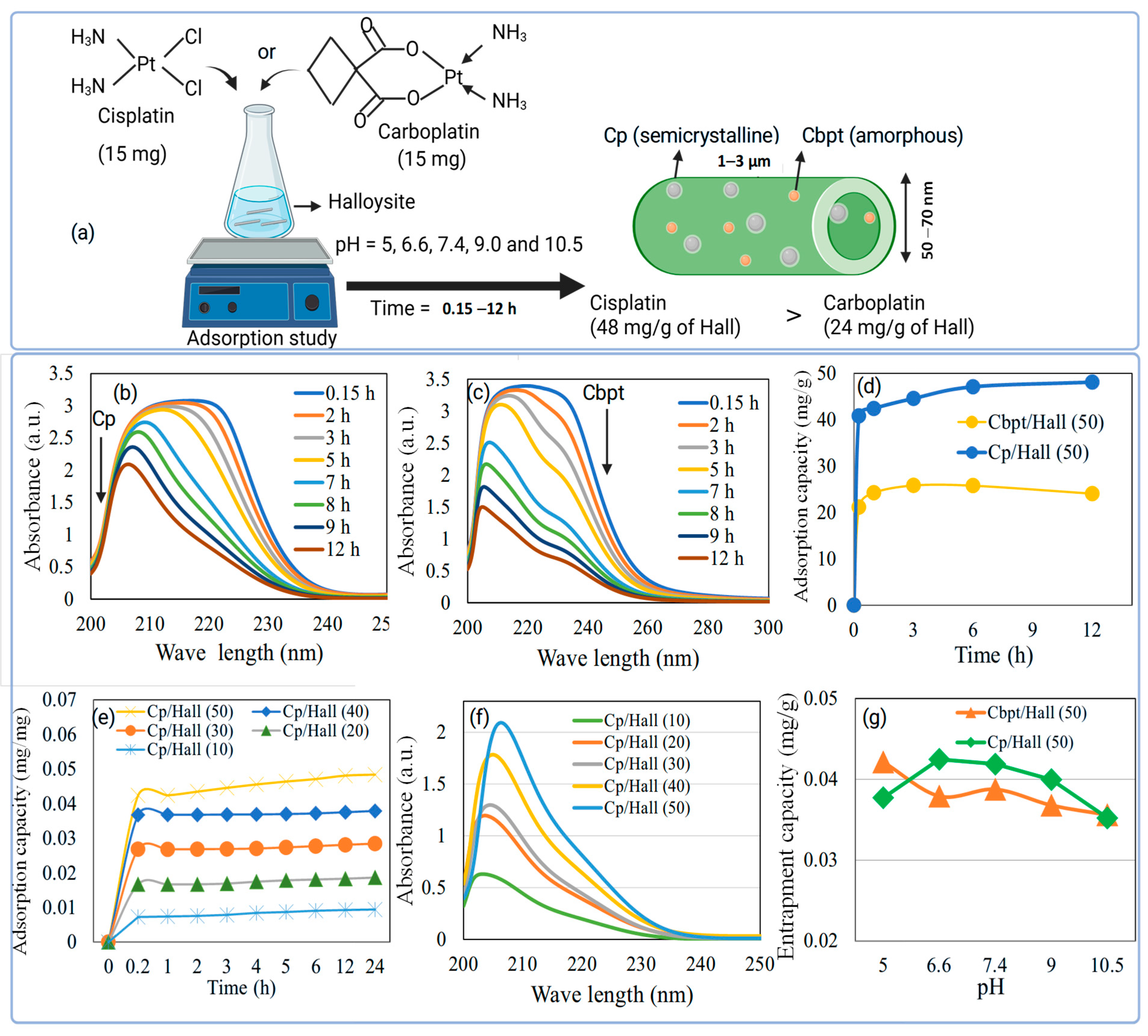 Pharmaceuticals 18 01349 g001