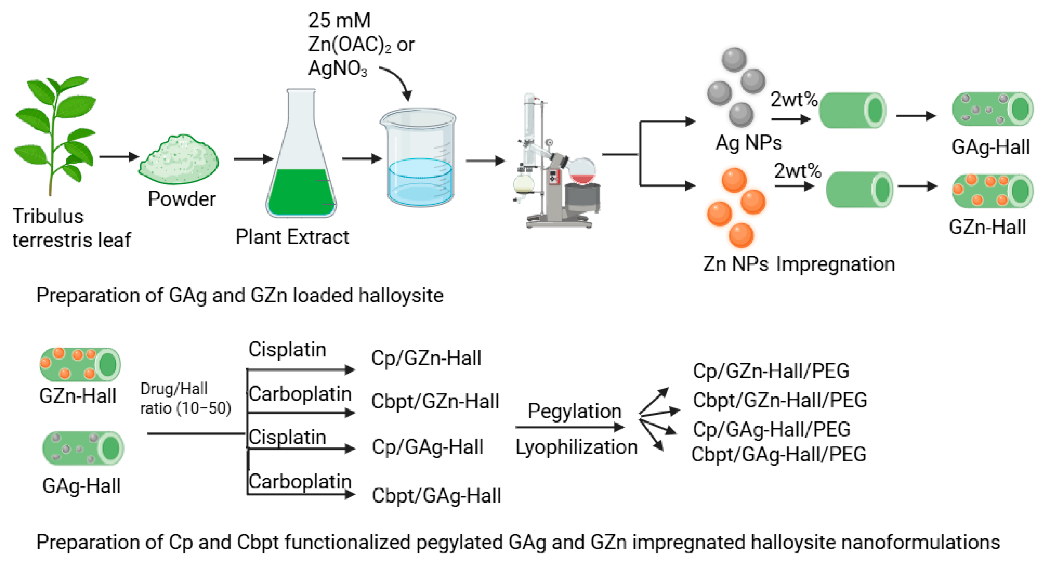 Pharmaceuticals 18 01349 g009