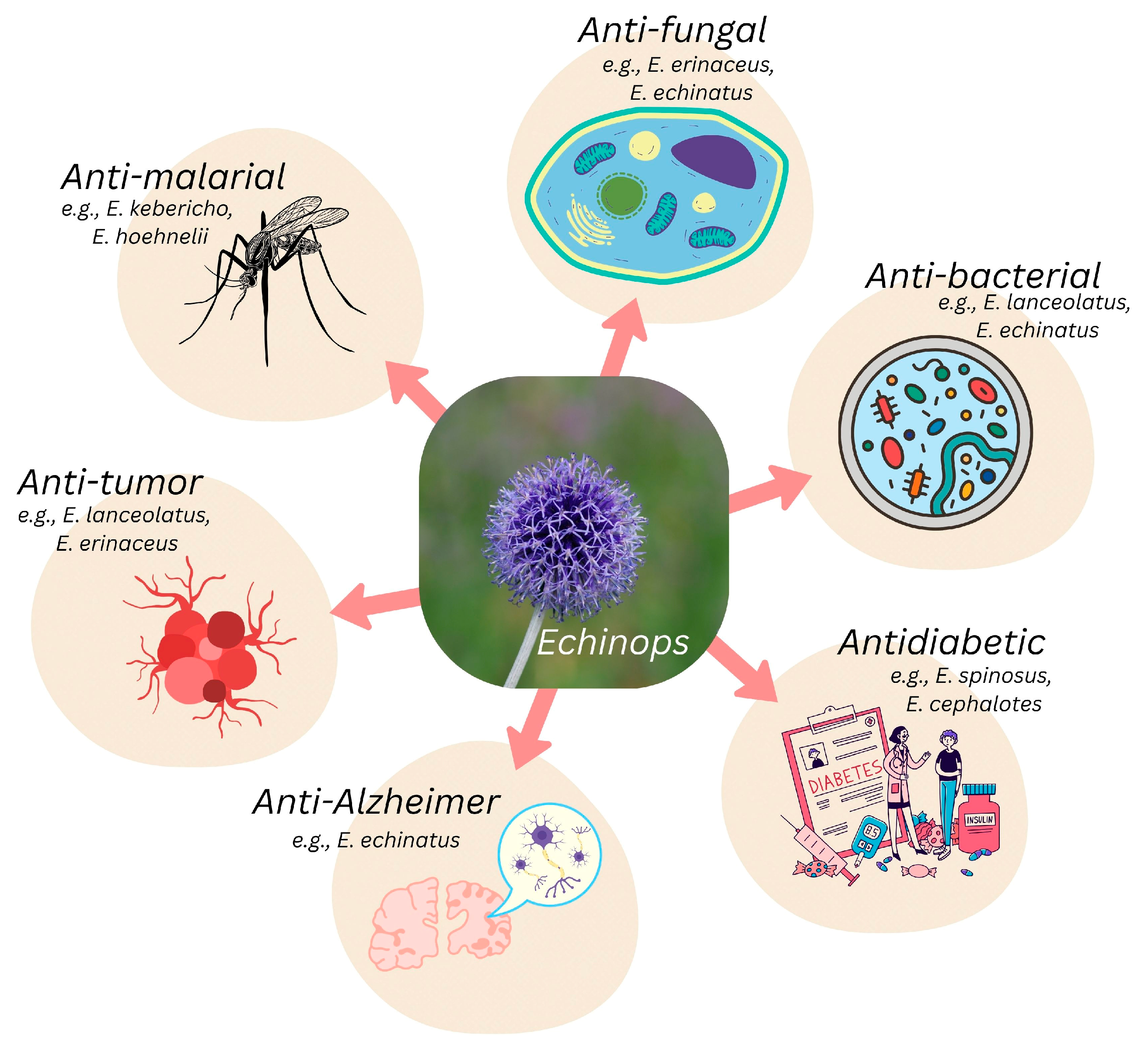 Pharmaceuticals 18 01353 g004 Pharmaceuticals 18 01353 g004