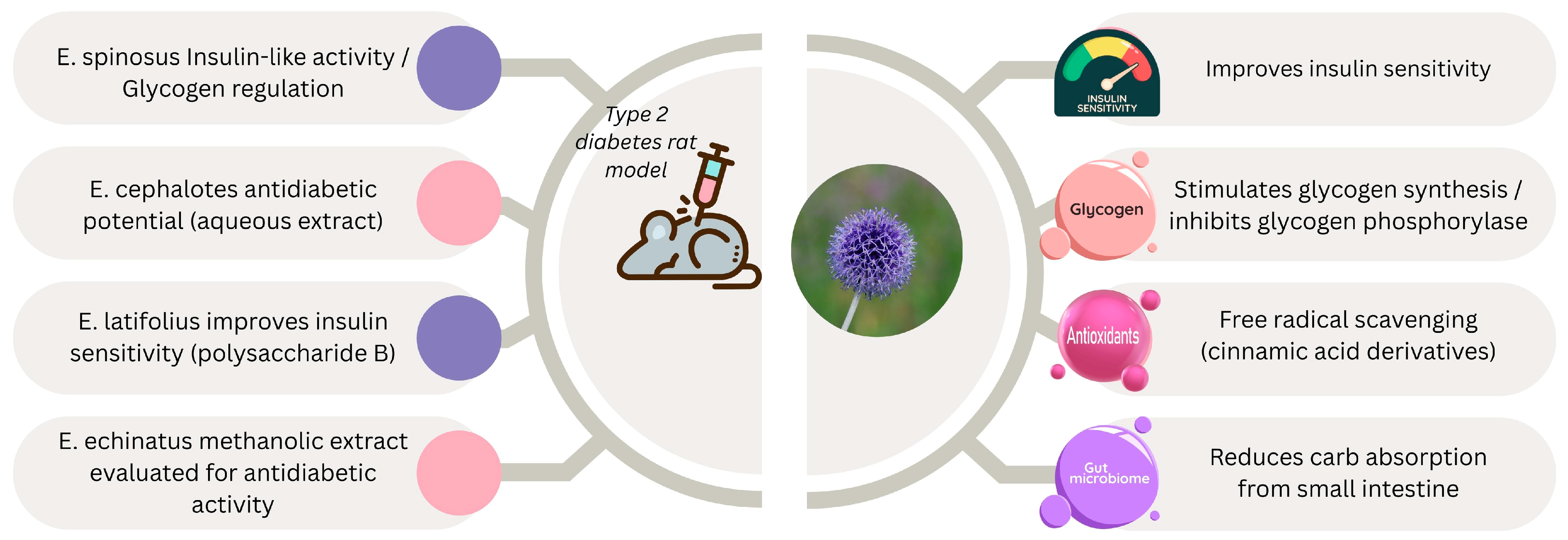 Pharmaceuticals 18 01353 g005 Pharmaceuticals 18 01353 g005