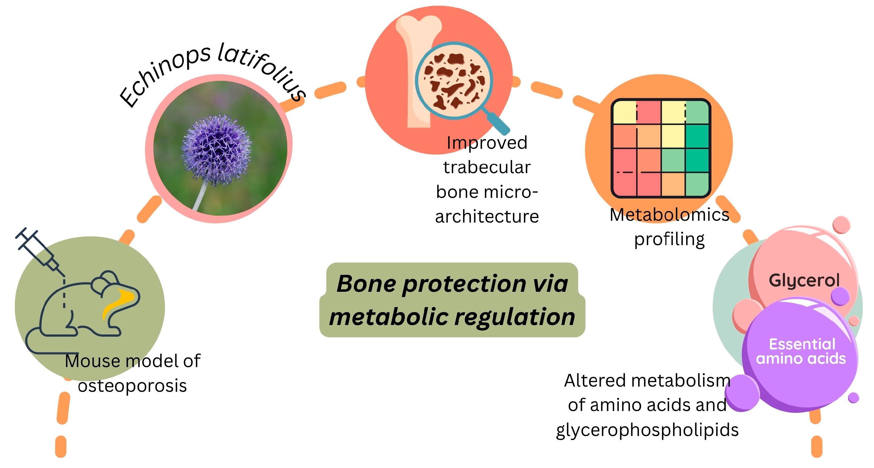 Pharmaceuticals 18 01353 g006 Pharmaceuticals 18 01353 g006