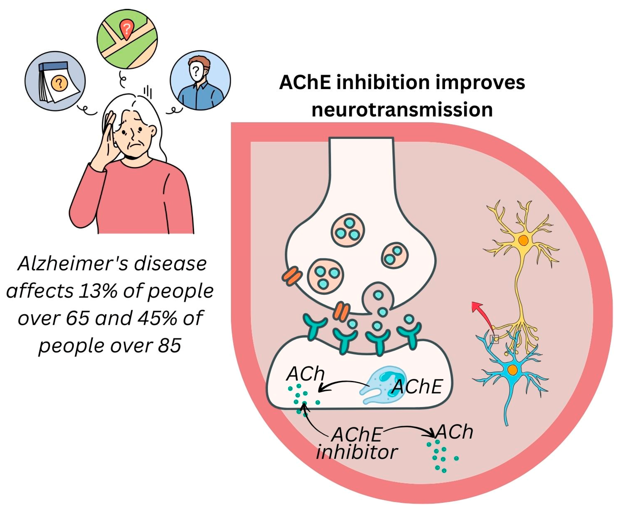 Pharmaceuticals 18 01353 g007 Pharmaceuticals 18 01353 g007