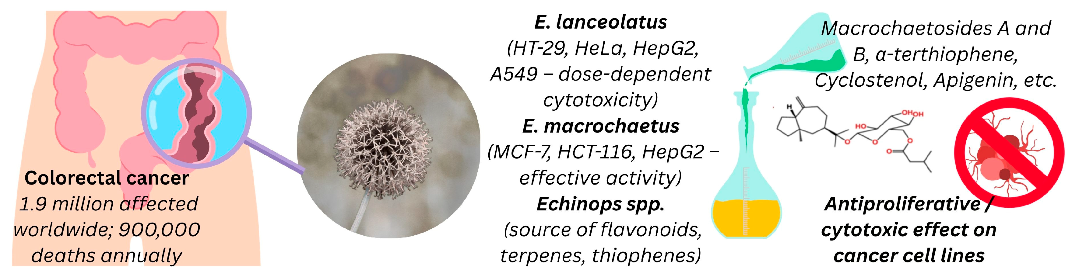Pharmaceuticals 18 01353 g010 Pharmaceuticals 18 01353 g010