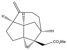 Pharmaceuticals 18 01353 i066 Pharmaceuticals 18 01353 i066